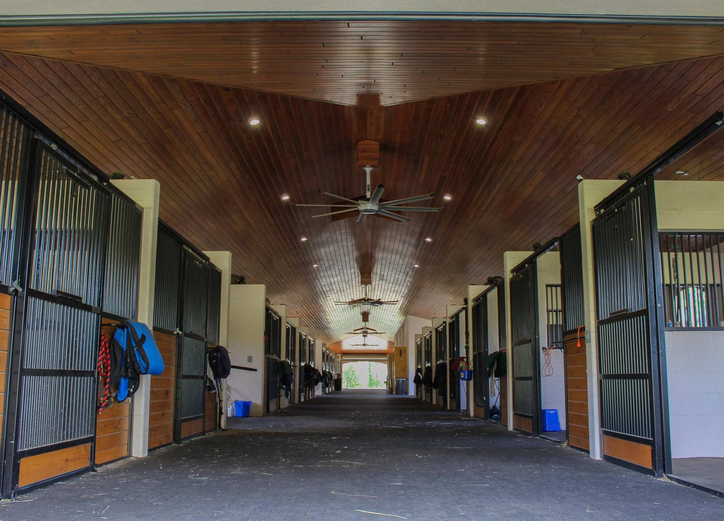 Empty horse stable hallway with stalls on both sides, hanging saddles and supplies, wooden ceiling, ceiling fans, overhead lighting.