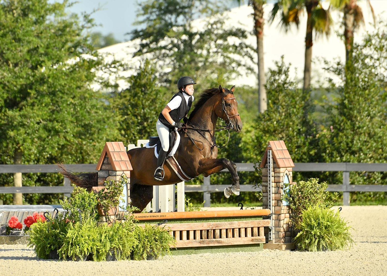 A rider on a brown horse in mid-jump over an obstacle in an equestrian competition, with lush greenery and palm trees in the background.