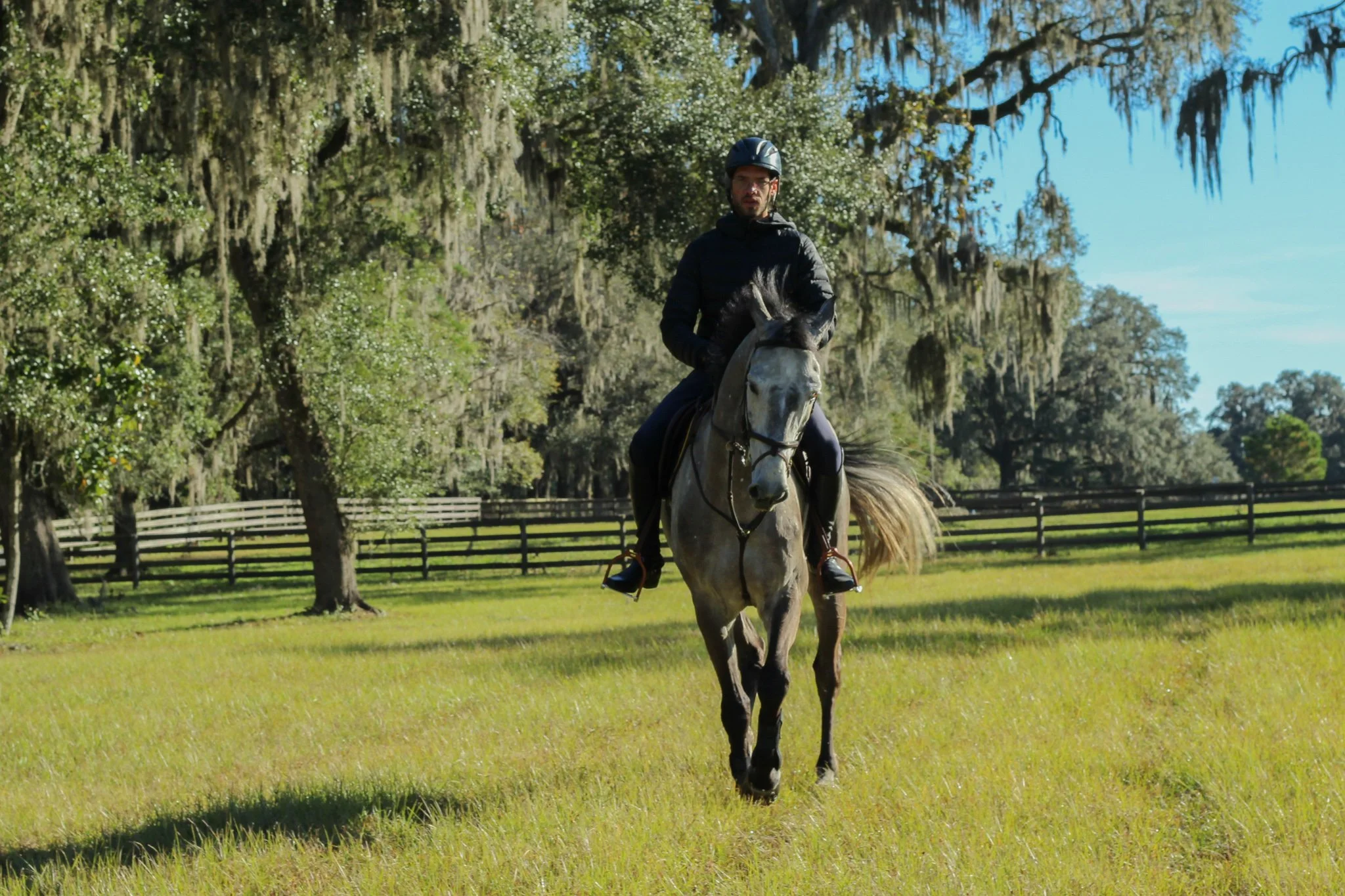 A man riding a horse in a grassy field with trees and a wooden fence in the background.