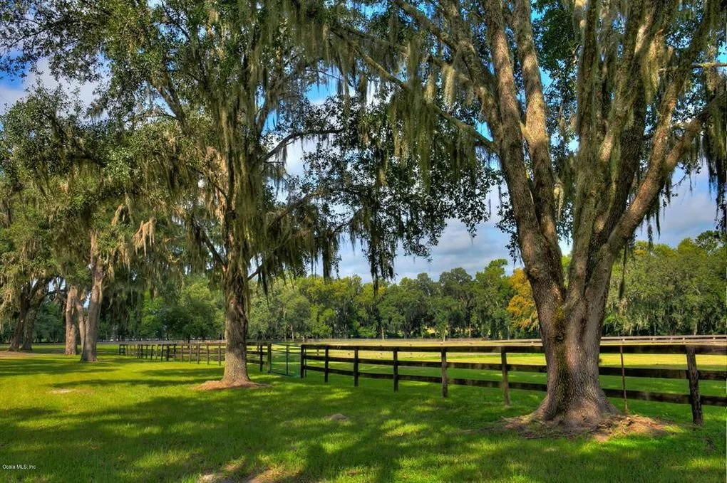 Green grassy field with large trees and Spanish moss, wooden fencing, partly cloudy sky.