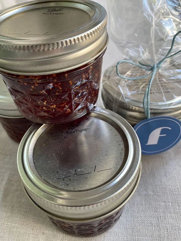 fig_jam10.jpg
