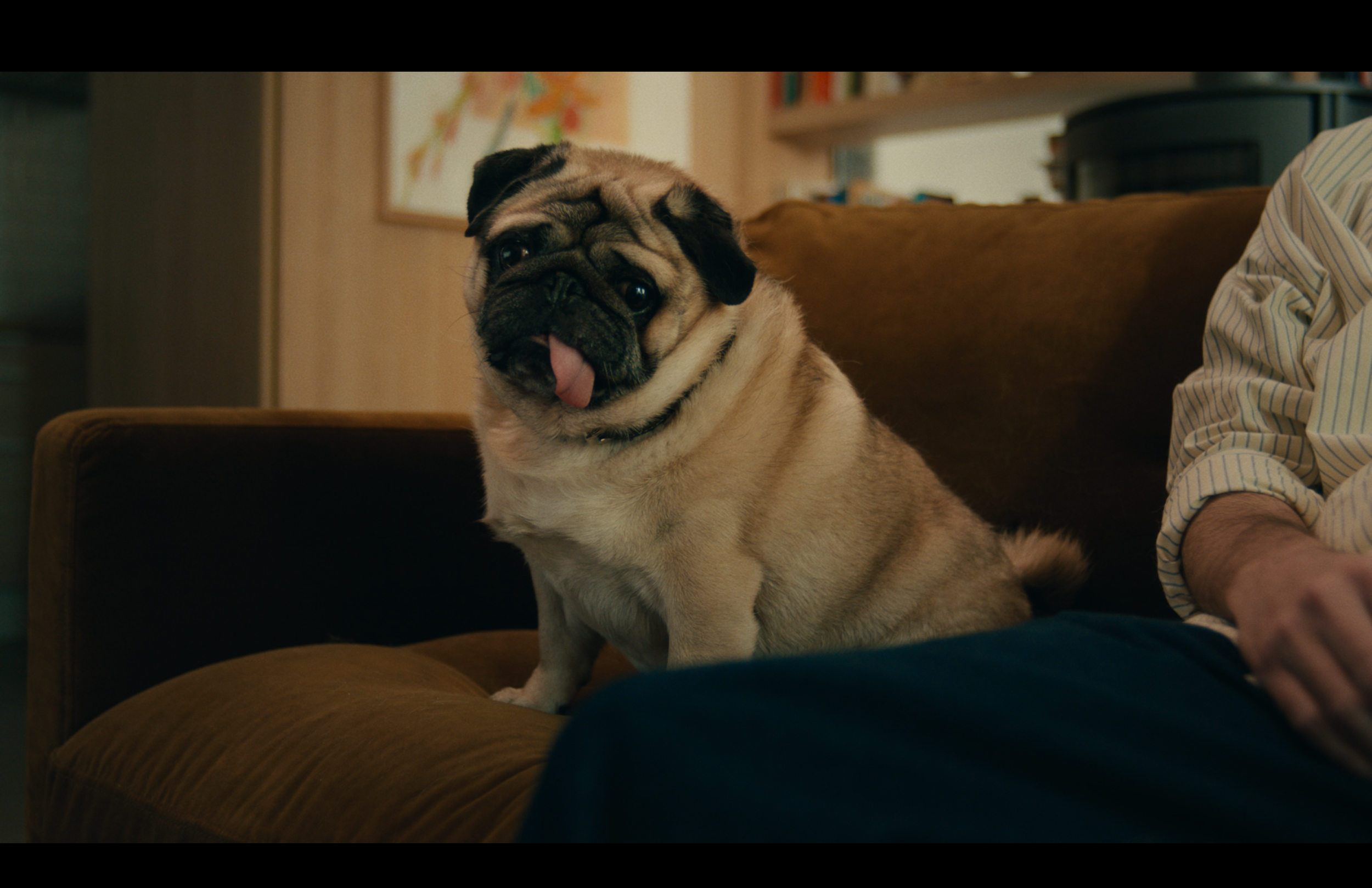 Captura de pantalla 2026-01-08 a las 15.22.29.png