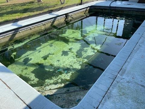 Pool filled with green moss and debris
