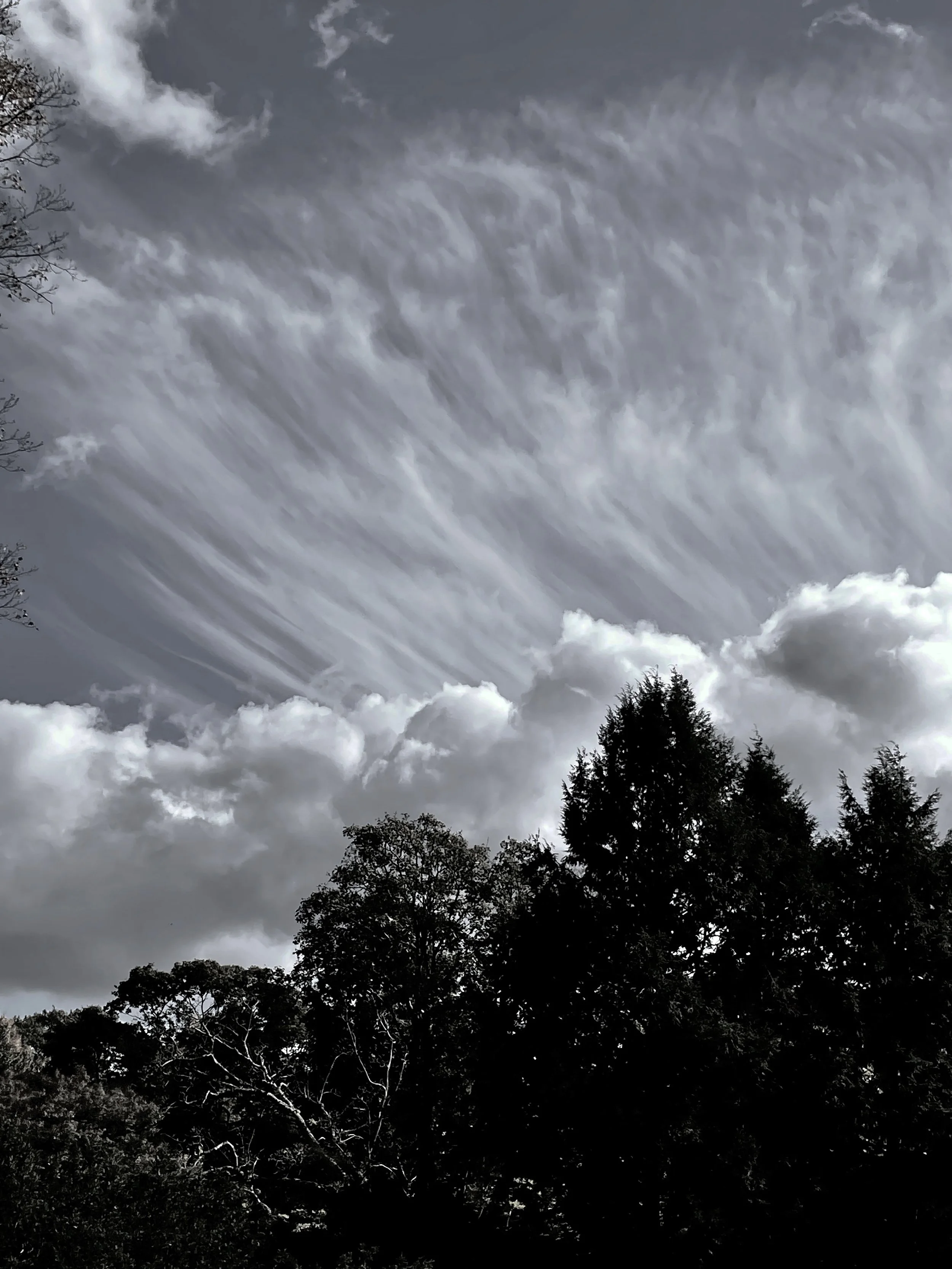 Cirrus and Cumulus, 15x11.5