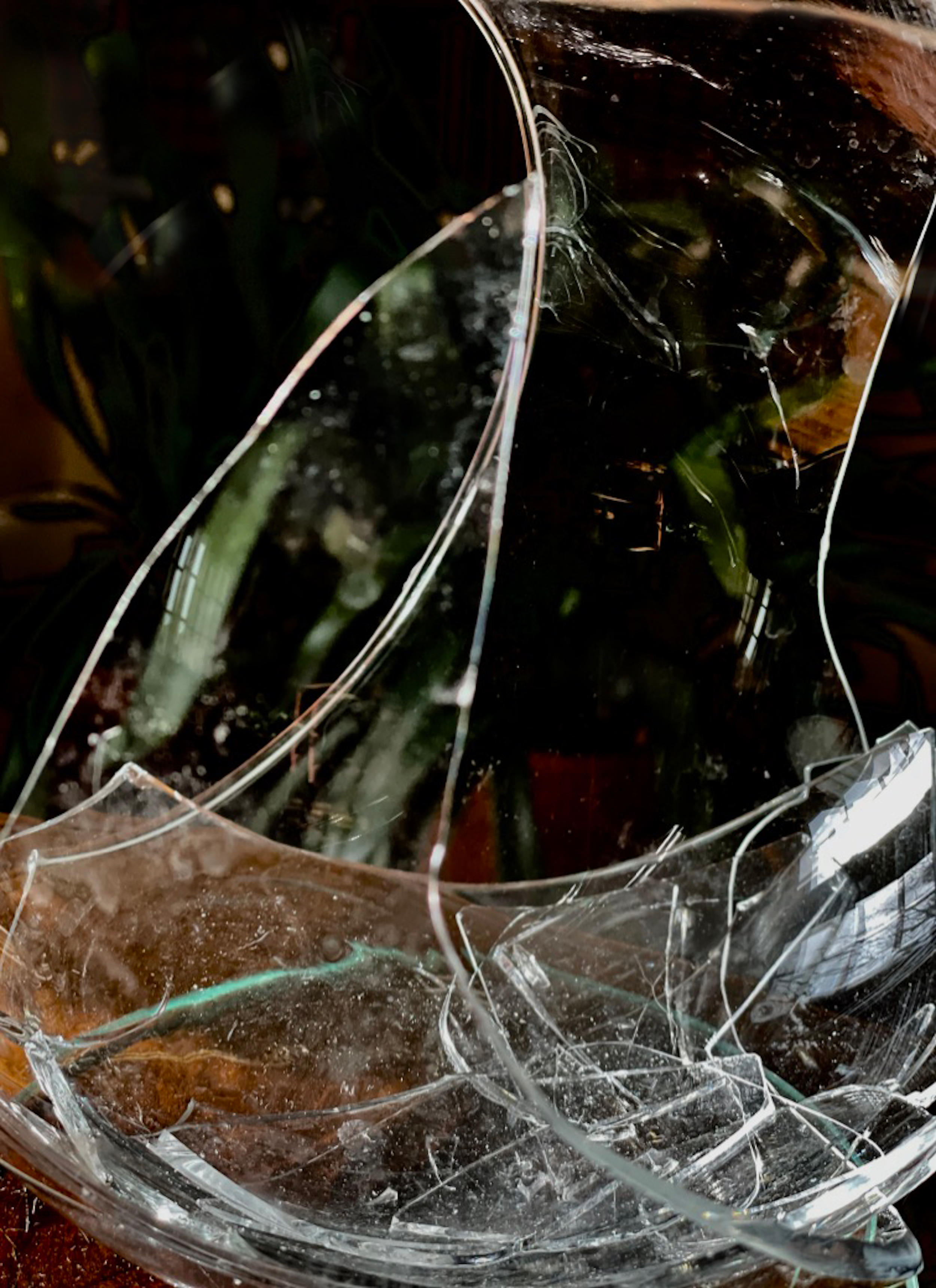 Matisse Revisited, 14x11