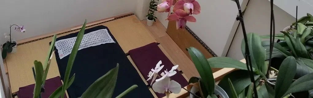 Shiatsu_Cabinet_Batignolles_Paris_17e