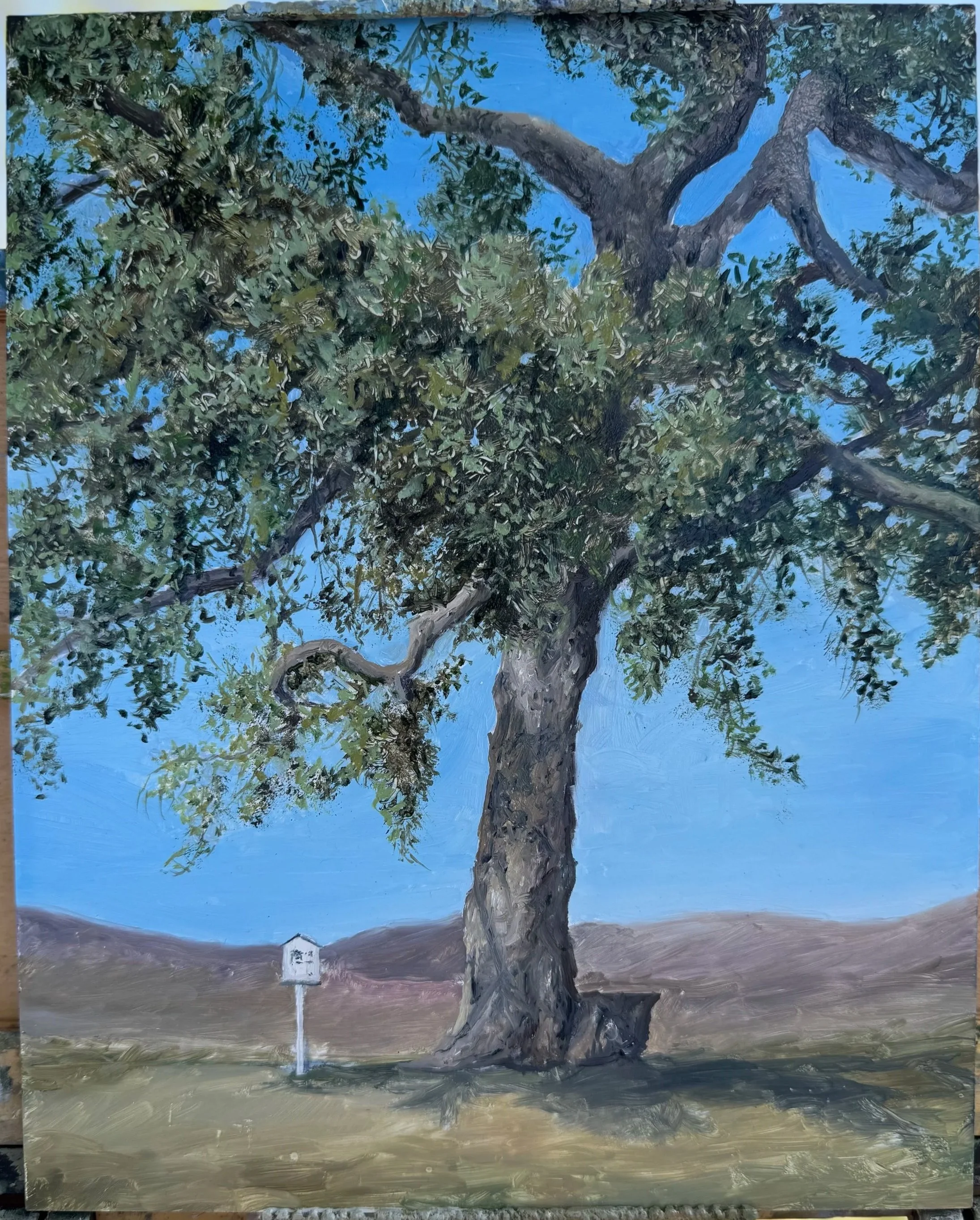 Old Santee Oak.
9x12 inches, Oil 