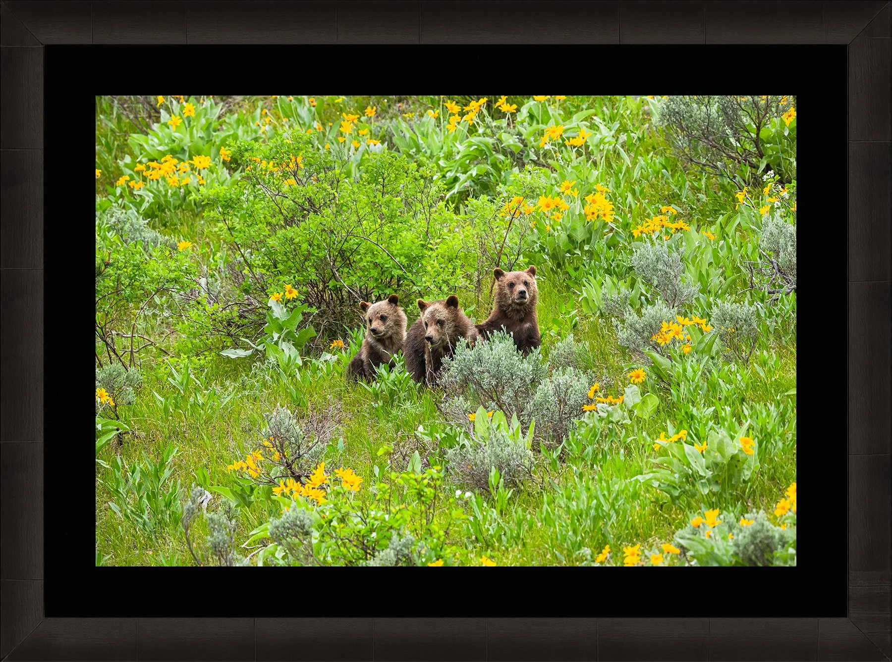 DeBock-Together-In-The-Wildflowers-Framed-Dark-Ash-Blk-Liner-1800x.jpg