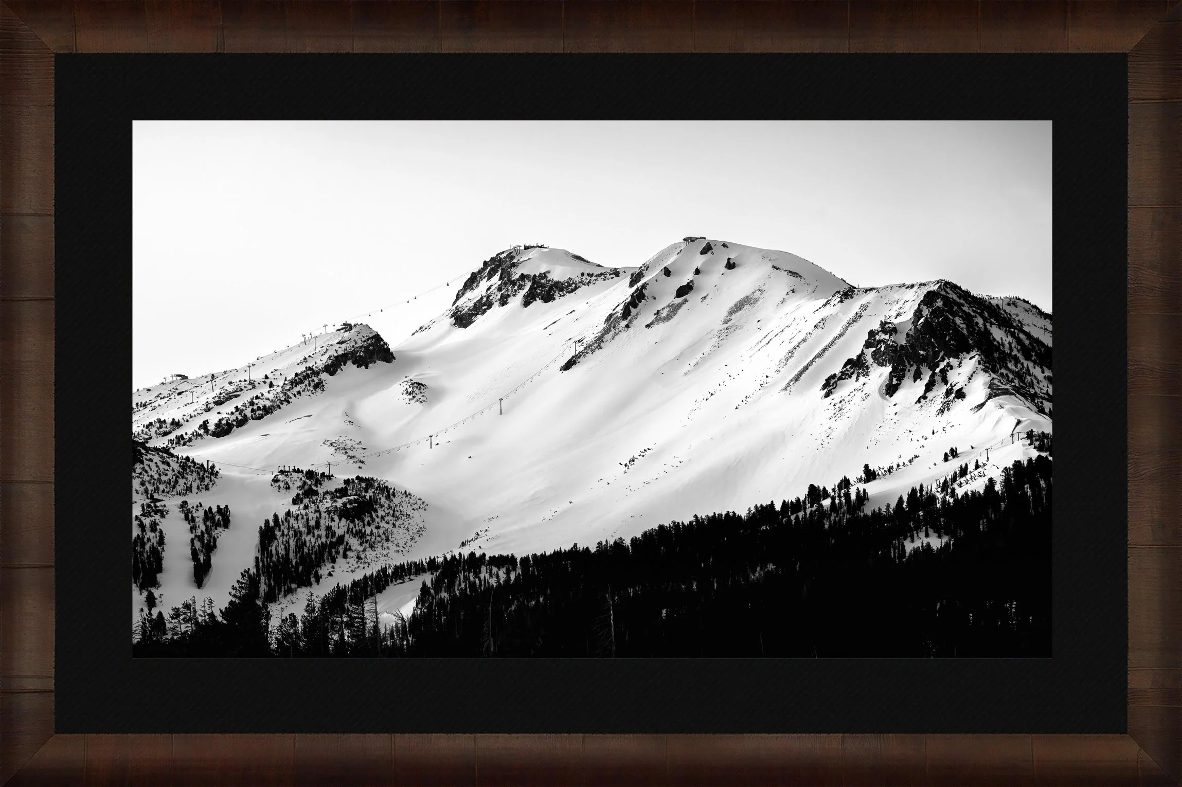 Mammoth-Mountain-BW-Framed-Cigar-Leaf-Blk-Liner.jpg