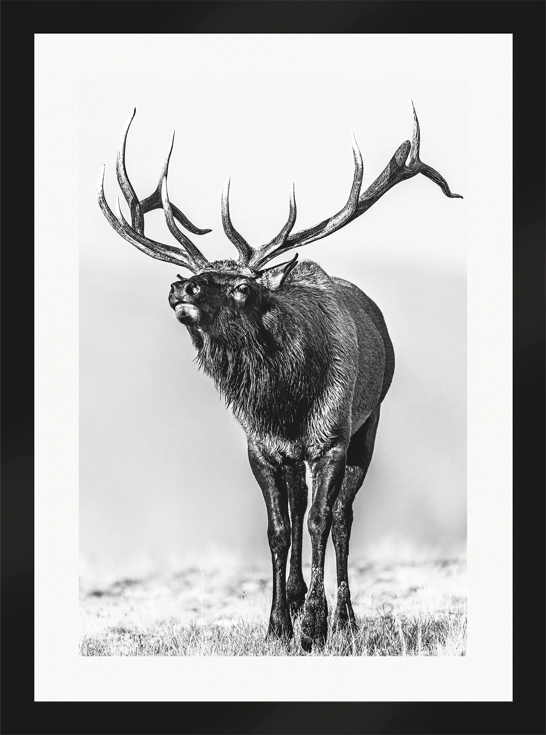 Blake-DeBock-Call-Of-The-Wild_web-Framed-Matte-Black-Wht-Liner_web.jpg