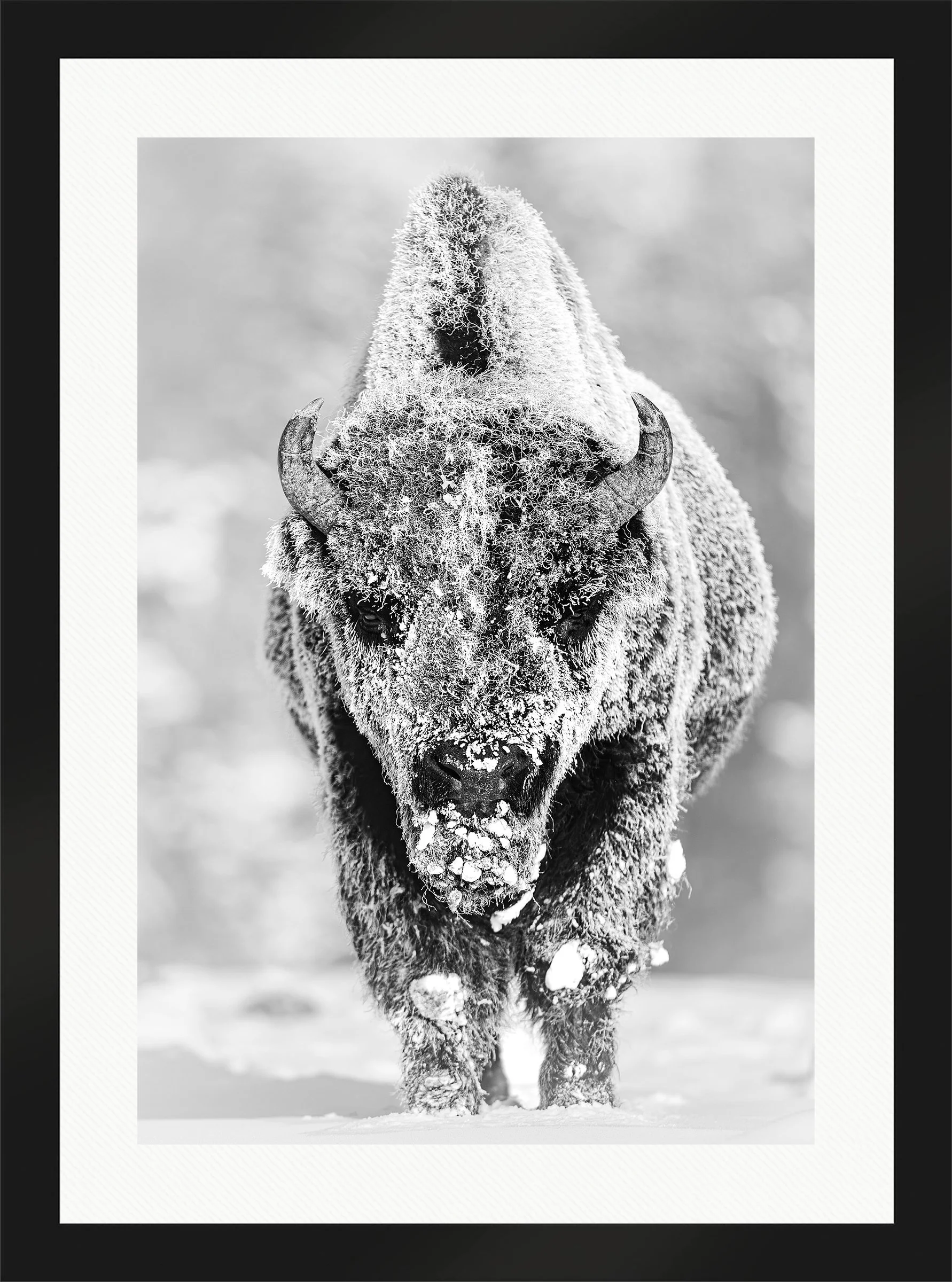 Blake-DeBock-28-Below_web-Framed-Matte-Black-Wht-Liner_web.jpg