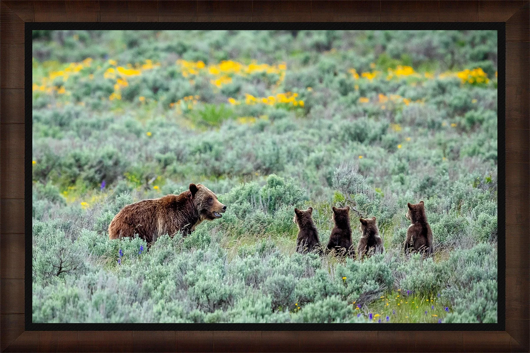 DeBock-Grizzly-Meeting-Framed-1800px.jpg