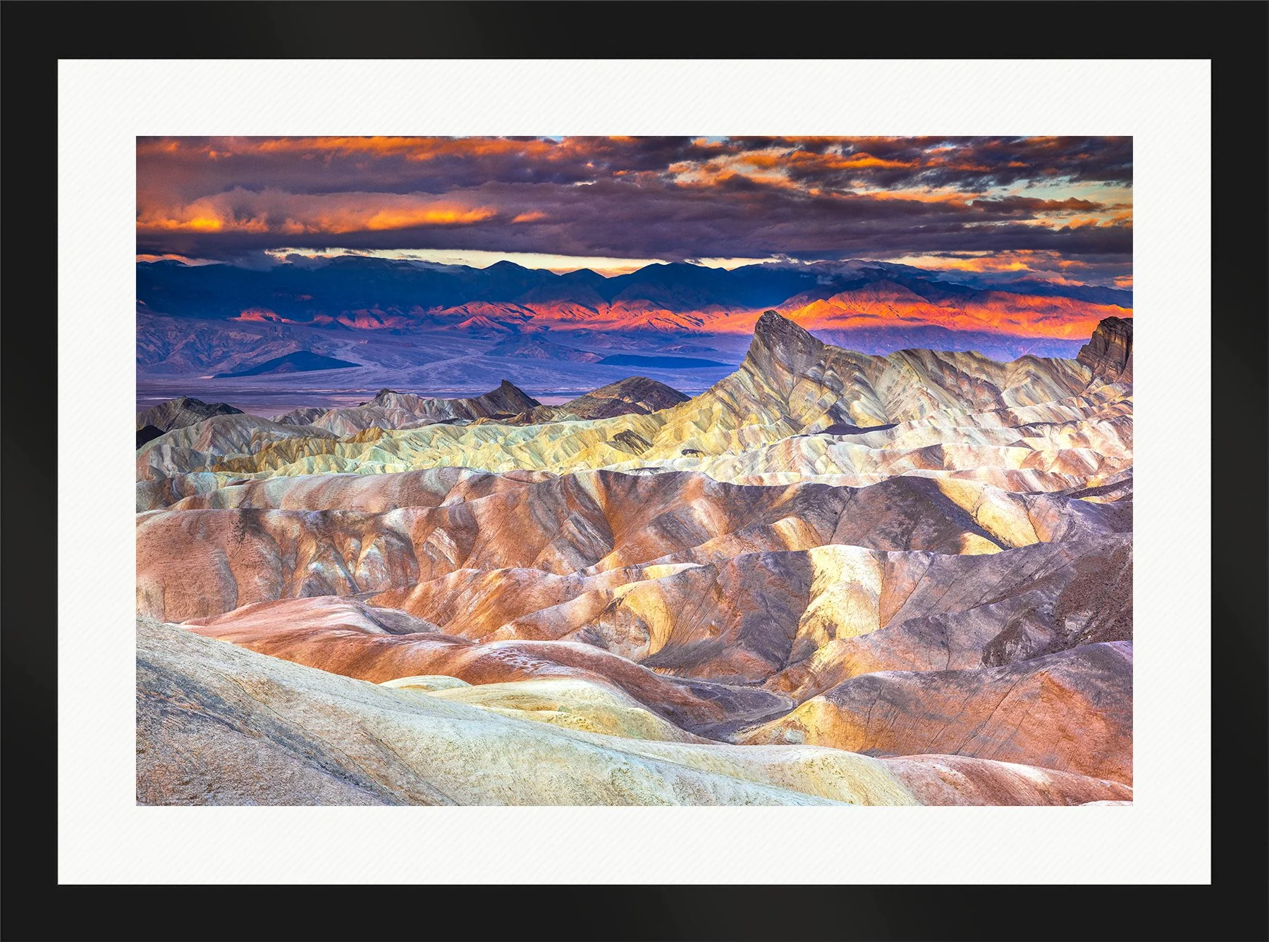 DeBock-Desert Paintbrush-Framed-Matte-Black-Wht-Liner-1800x.jpg