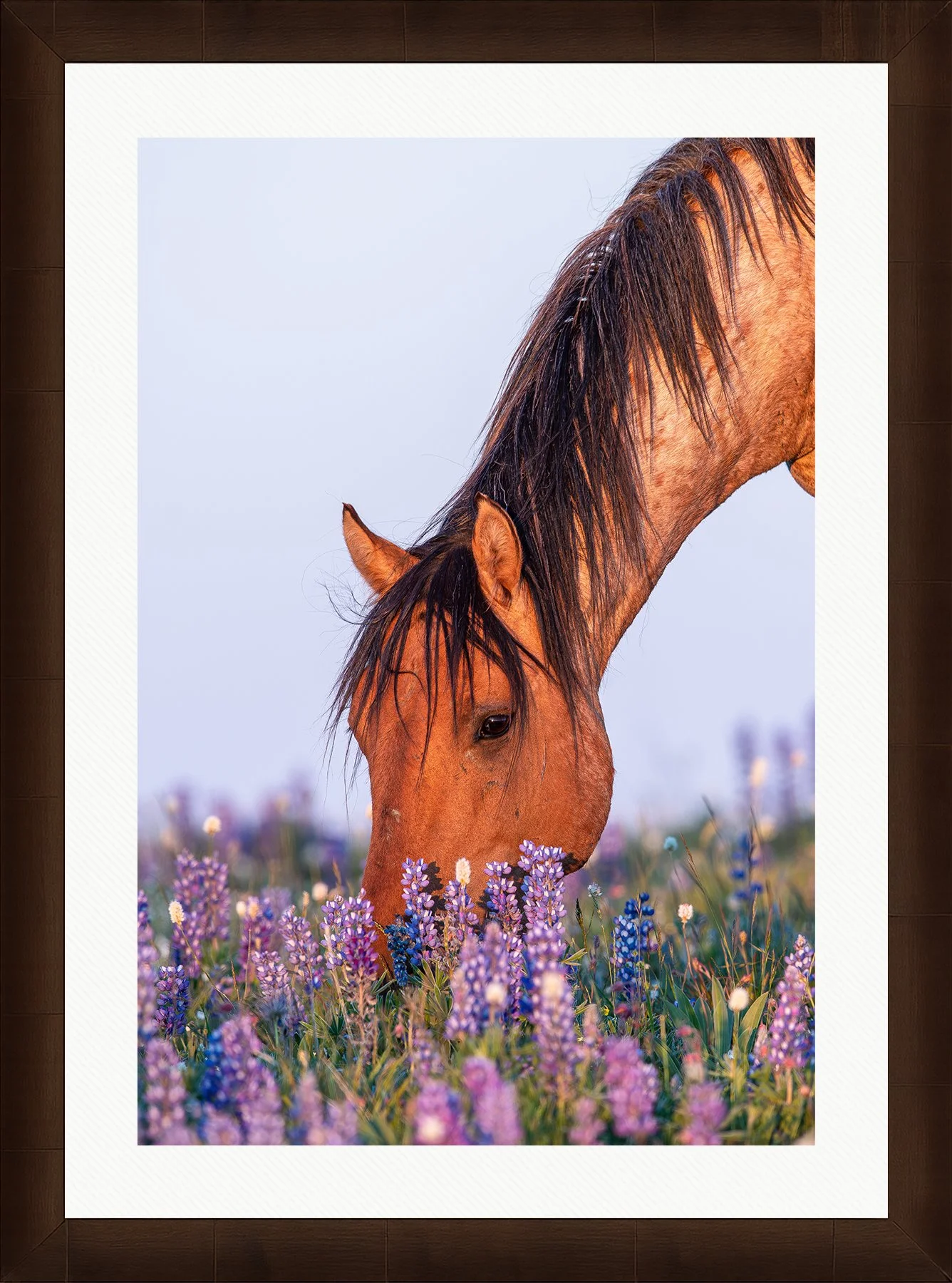 DeBock-Wildflower-Spirit-Framed-Cigar-Leaf-Wht-Liner-1800x.jpg