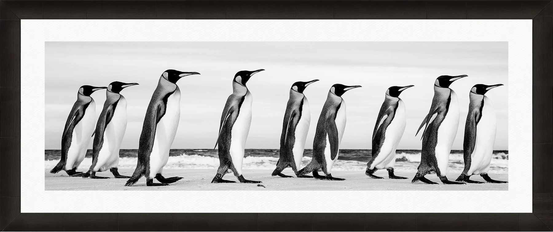 DeBock-Marching Kings-Framed-Dark-Ash-Wht-Liner-1800x.jpg