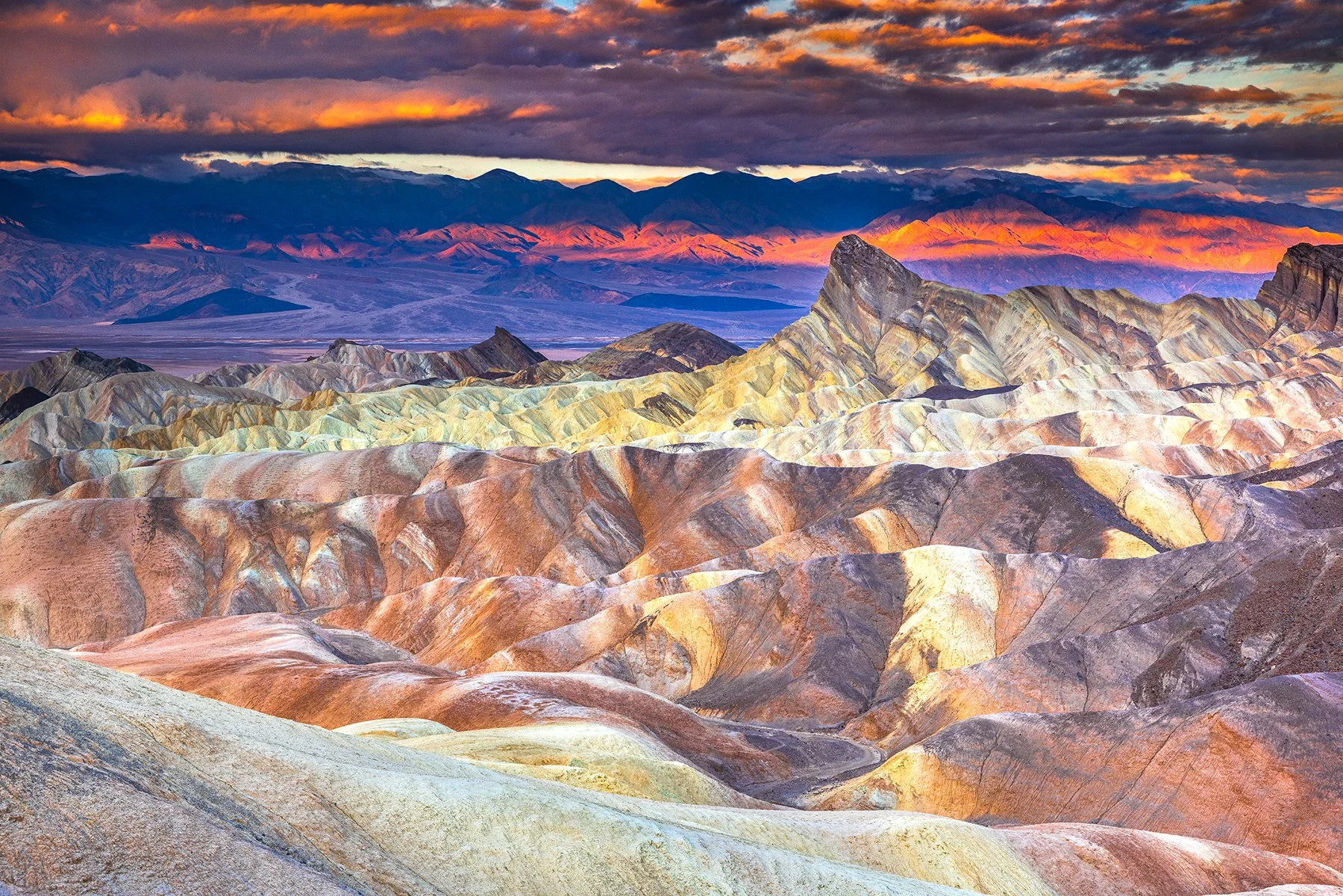 DeBock-Desert Paintbrush-1800x.jpg