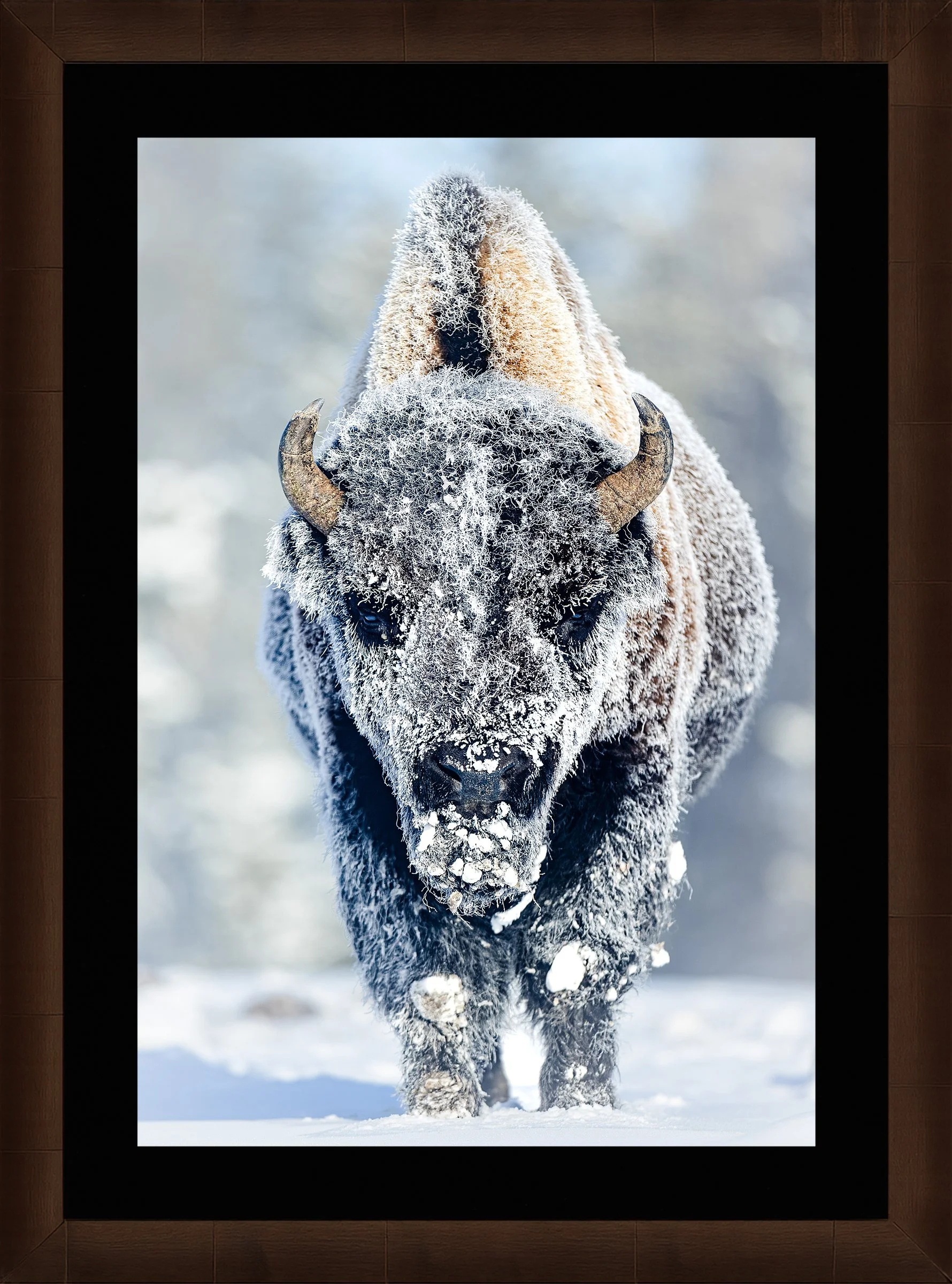 Blake-DeBock-Revenant_web-Framed-Sequoia-Leaf-Blk-Liner_web.jpg
