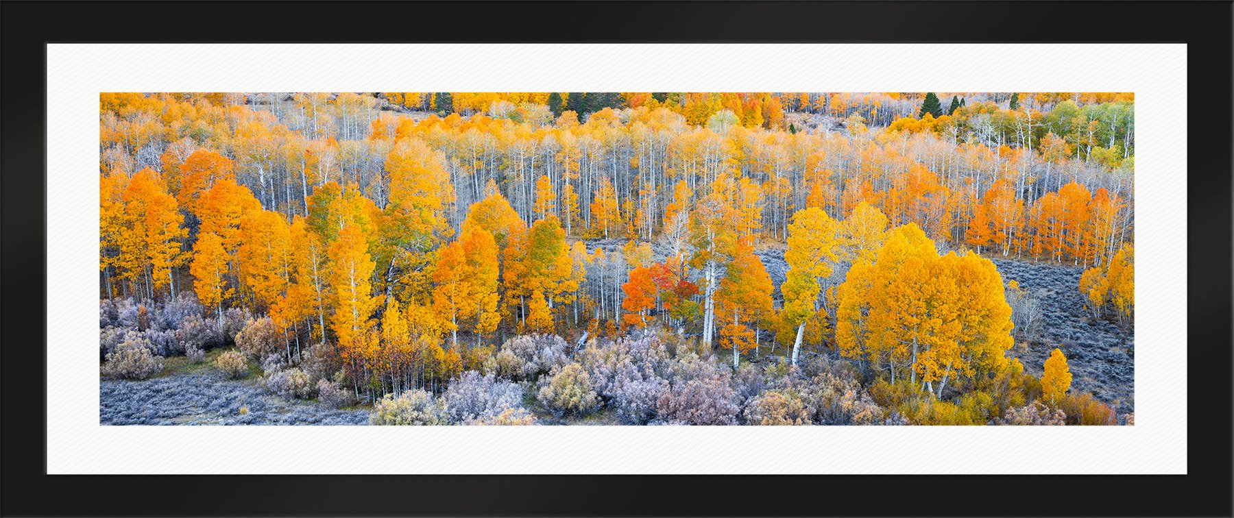 DeBock-Sierra-Aspens-Framed-Matte-Black-Wht-Liner-1800x.jpg