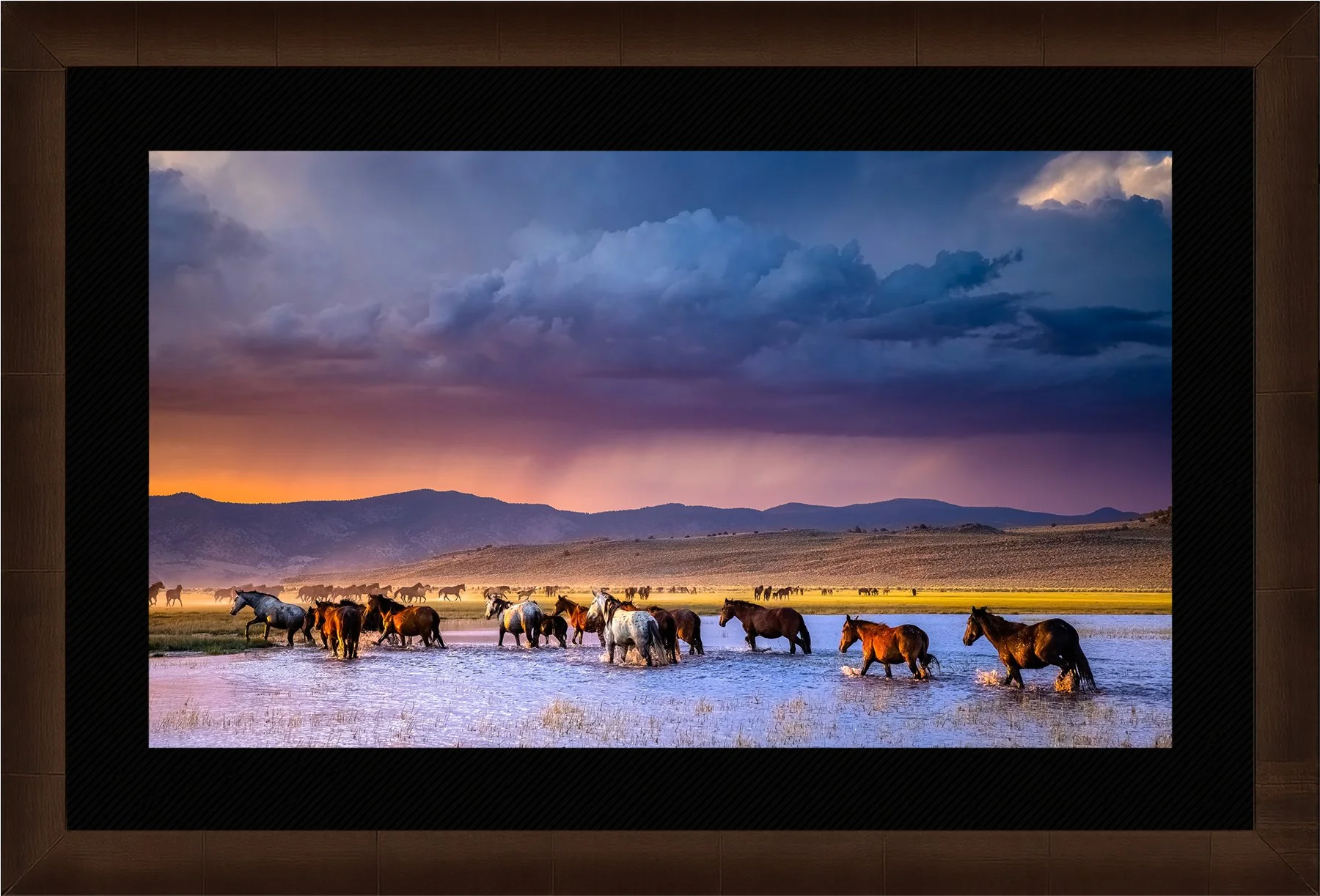 Blake-DeBock-Western-Dreams-1800x-Framed-Sequoia-Blk-Liner_web.jpg
