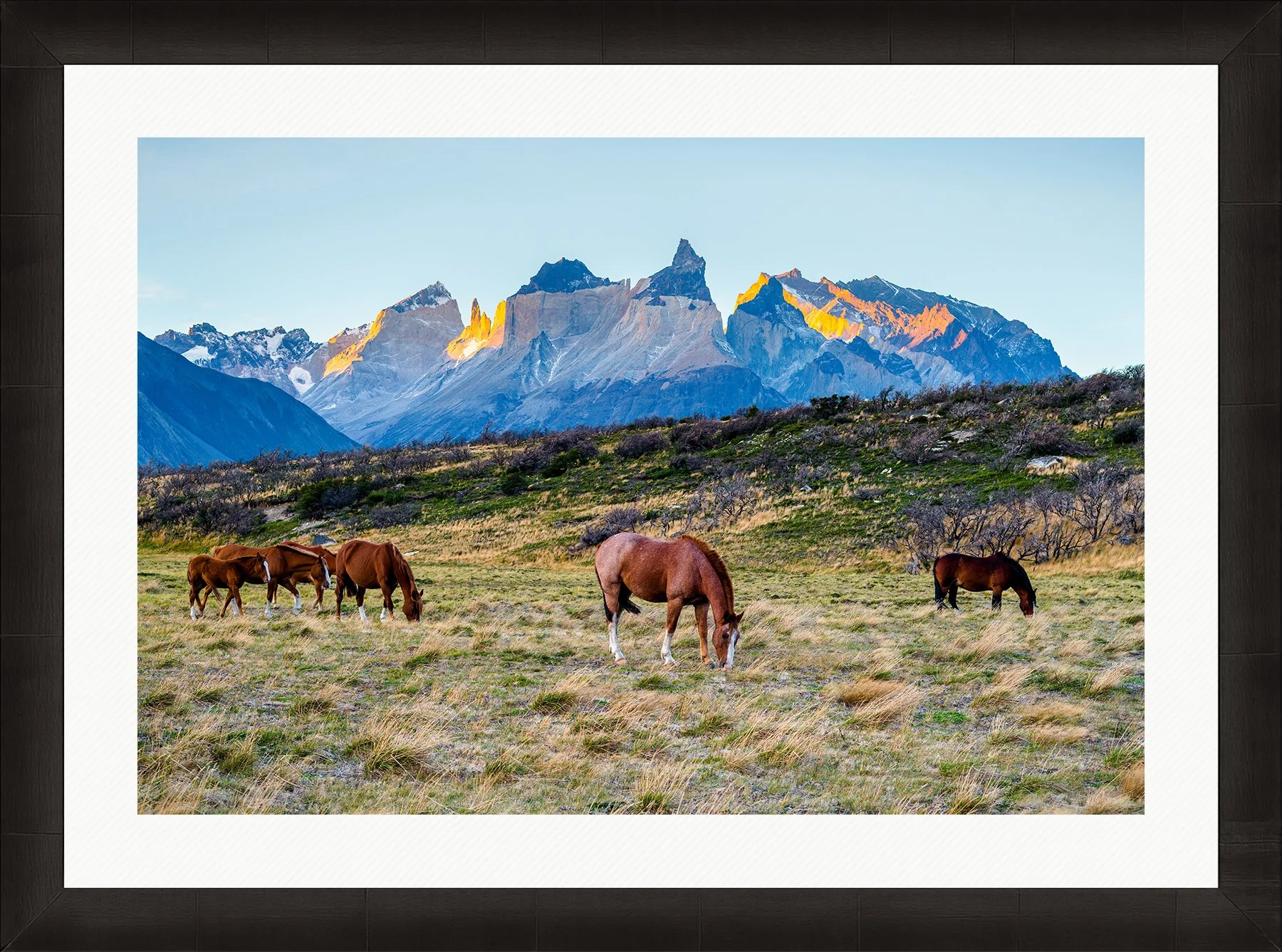 DeBock-Patagonian Horses-Framed-Dark-Ash-Wht-Liner-1800x.jpg