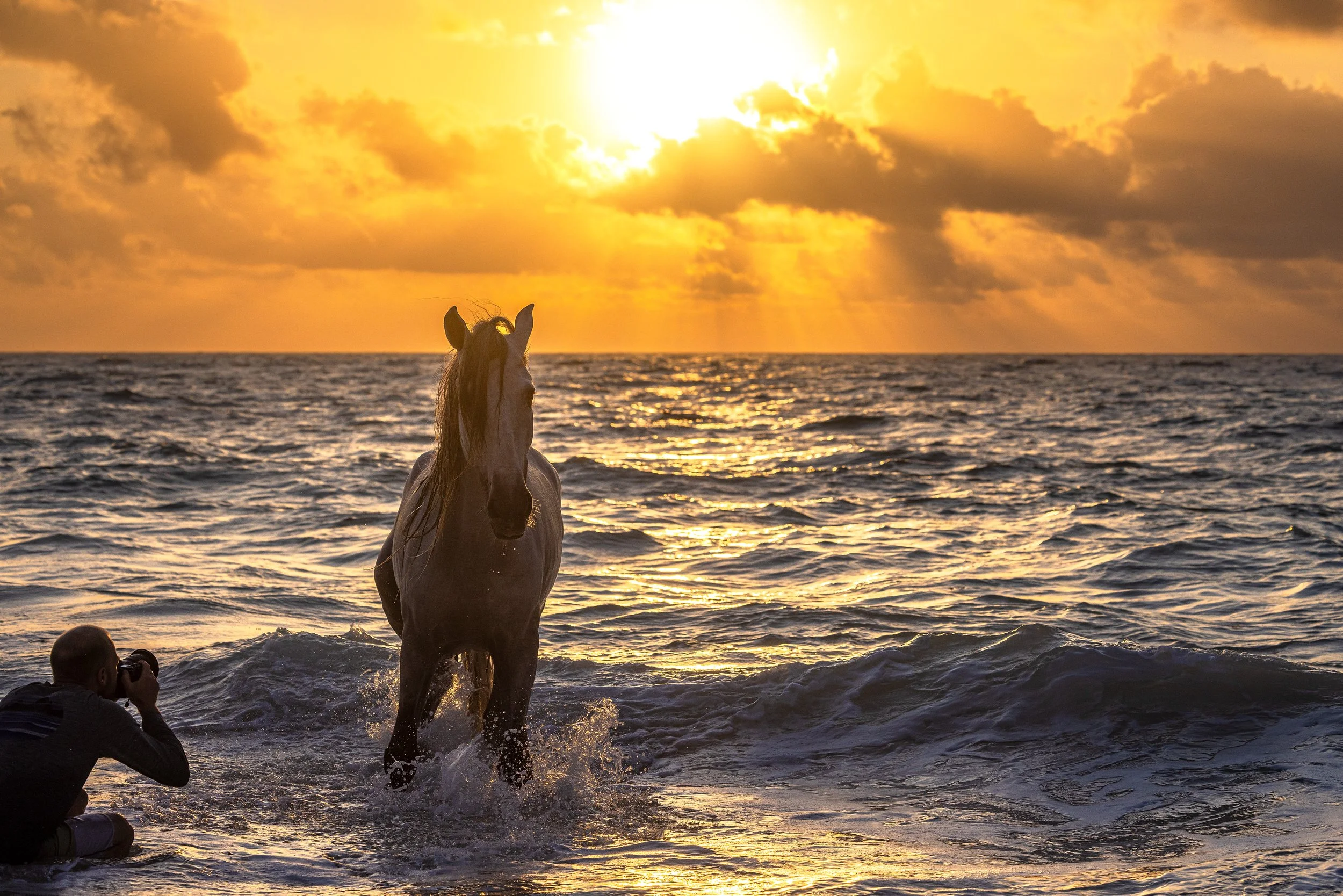 Blake DeBock Unveils Stallions of the Sea, A New Fine Art Series