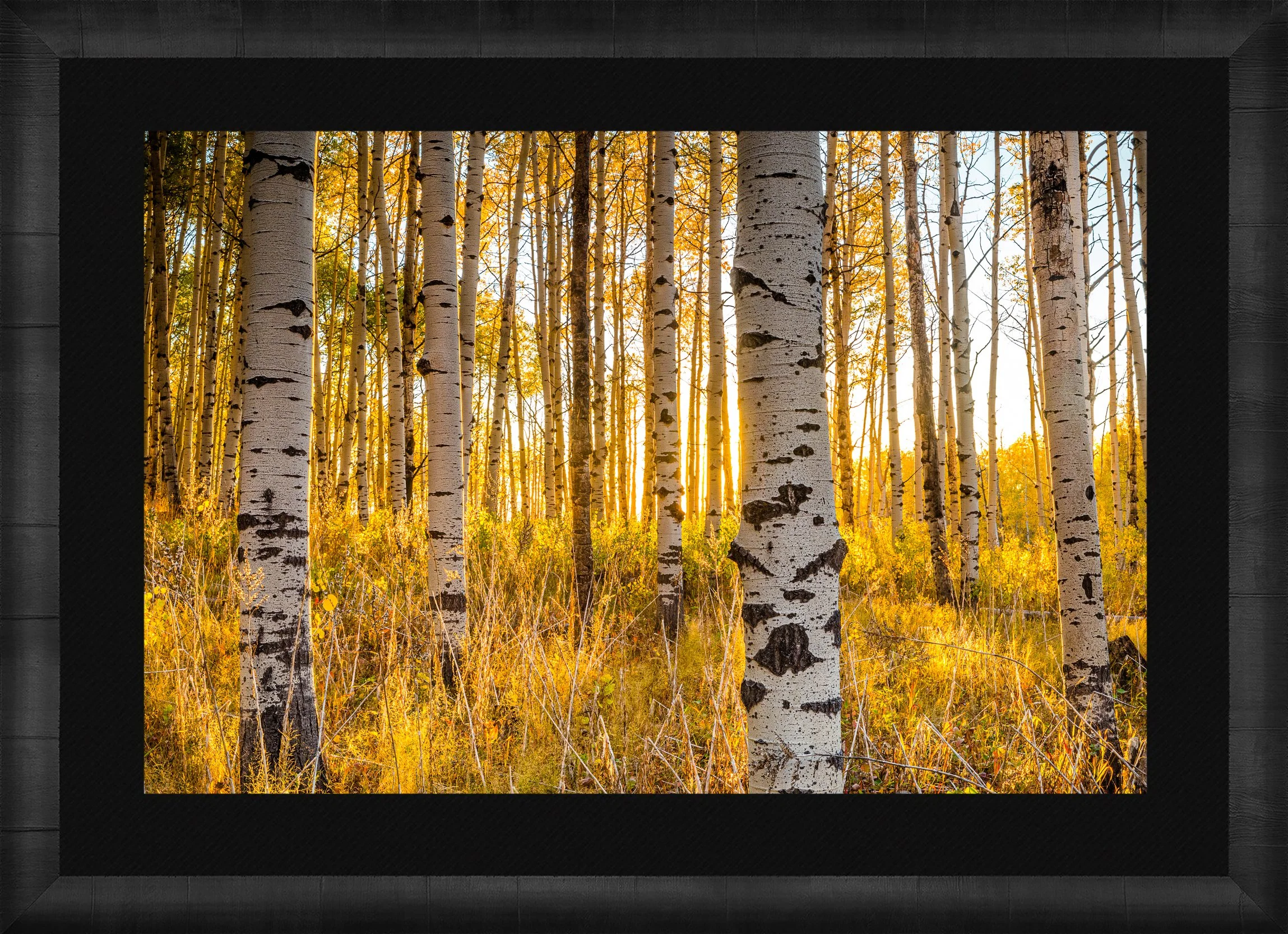 DeBock-Aspen-Glow-Framed-Dark-Ash-Blk-Liner.jpg