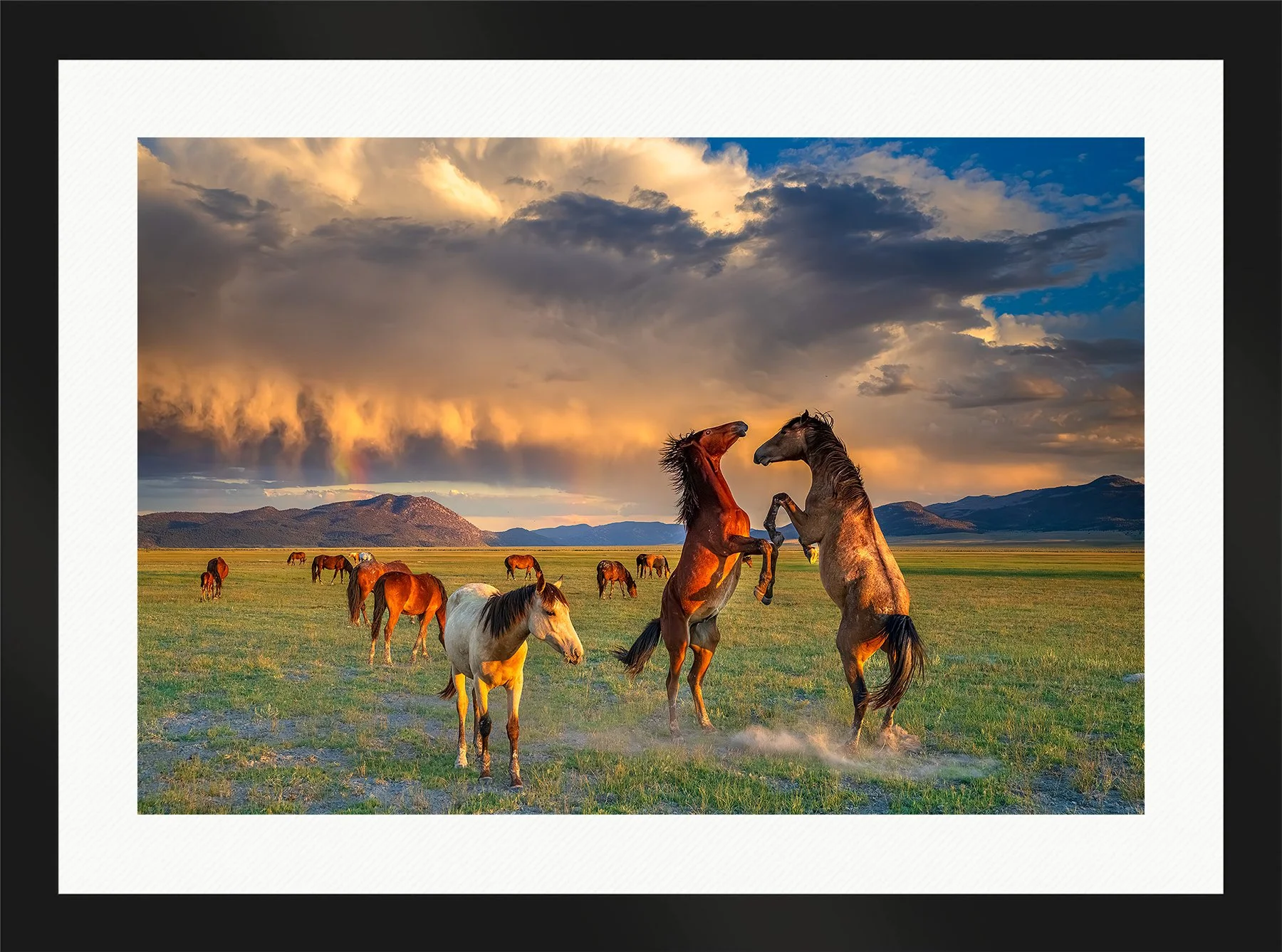 Blake-DeBock-Moment-of-Peace-Web-Framed-Matte-Black-Wht-Liner-1800x.jpg