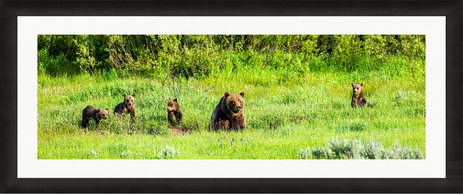 DeBock-Springtime-At-Willow-Flats-Framed-Dark-Ash-Wht-Liner-1800x.jpg