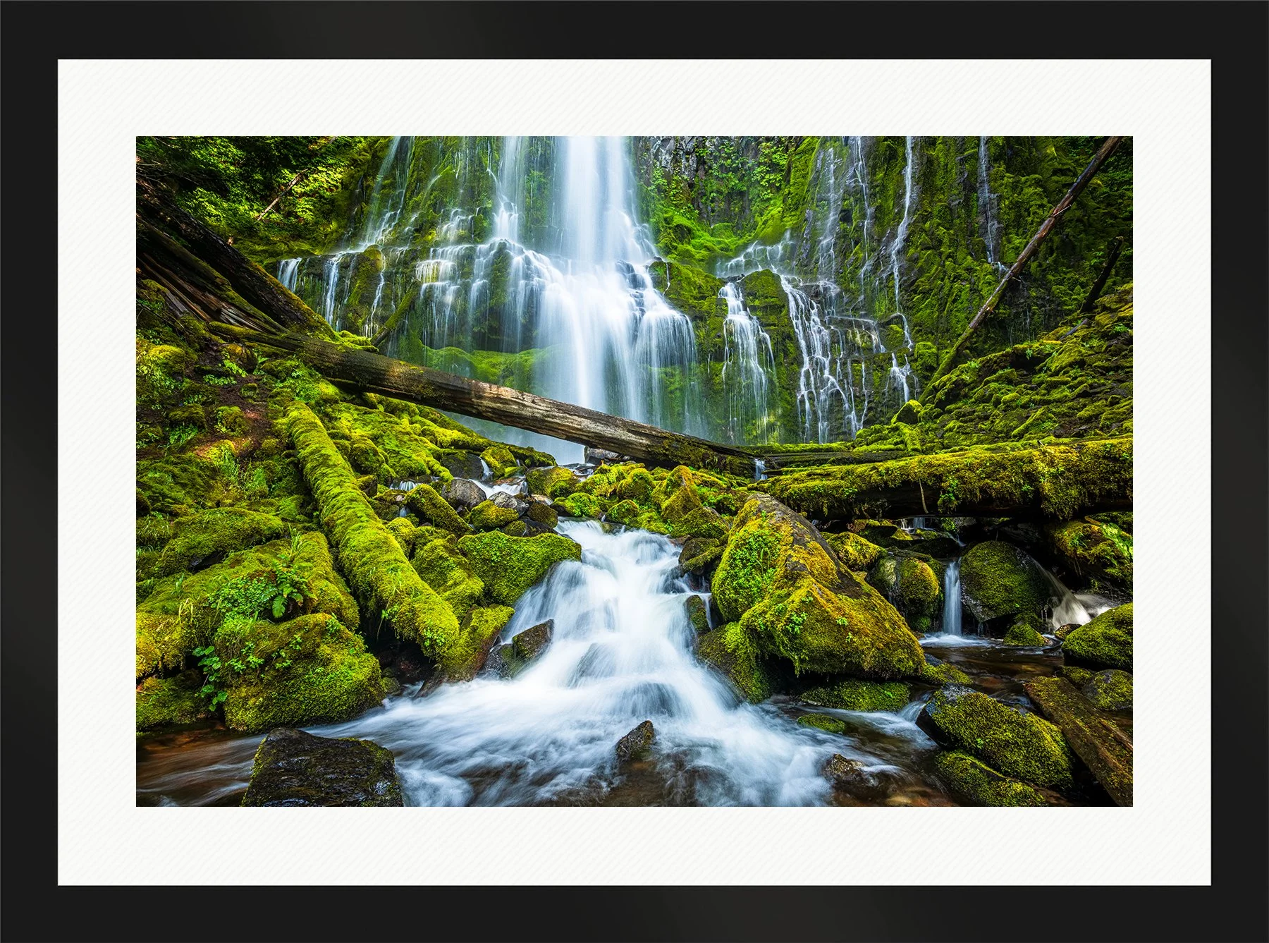 Blake-DeBock-Sanctuary-Framed-Matte-Black-Wht-Liner-1800x.jpg