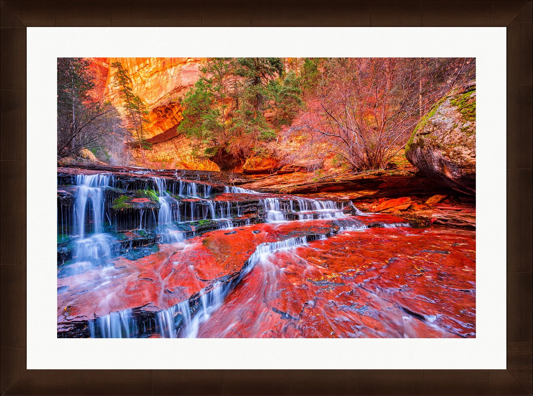 Blake-DeBock-Ancient-Canyon-Framed-Sequoia-Wht-Liner-1800x.jpg
