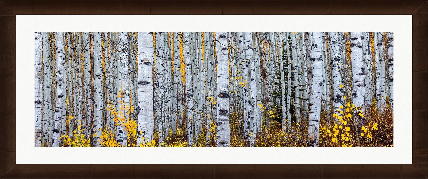 DeBock-Aspen-Forest-Framed-Cigar-Leaf-Wht-Liner-1800x.jpg