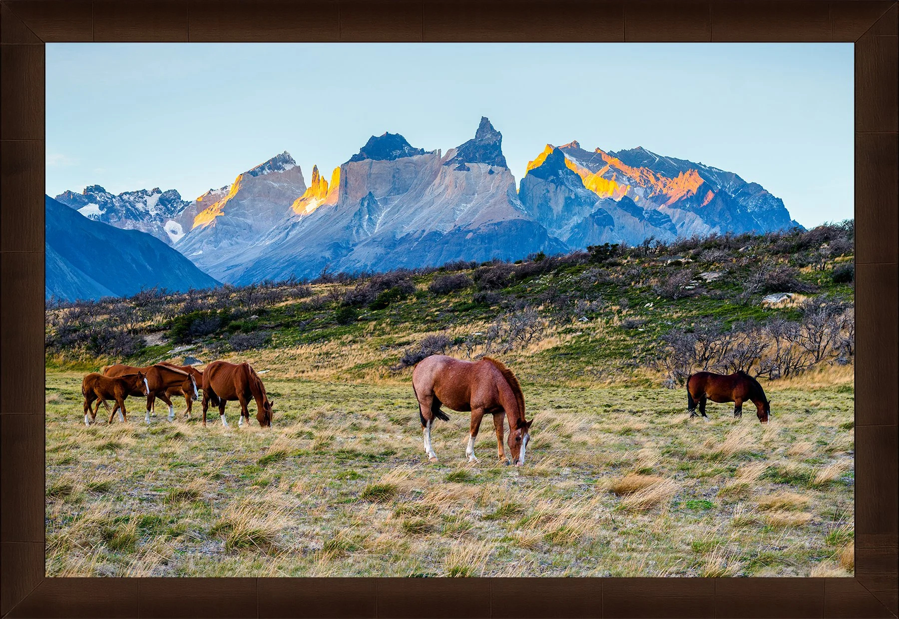 DeBock-Patagonian Horses-Framed-Cigar-Leaf-1800x.jpg