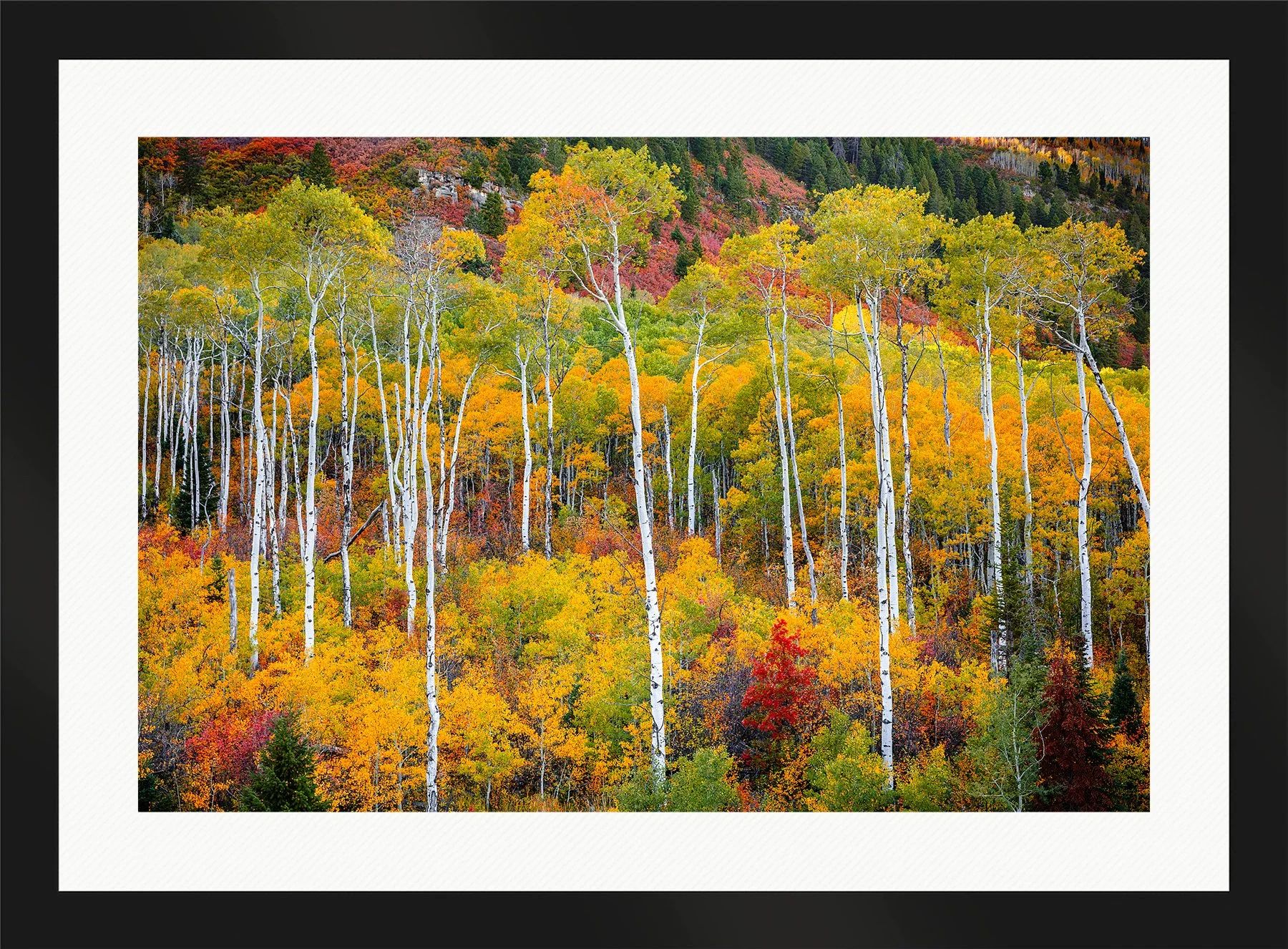 Blake-DeBock-Colorful-Colorado_web-Framed-Matte-Black-Wht-Liner_web.jpg