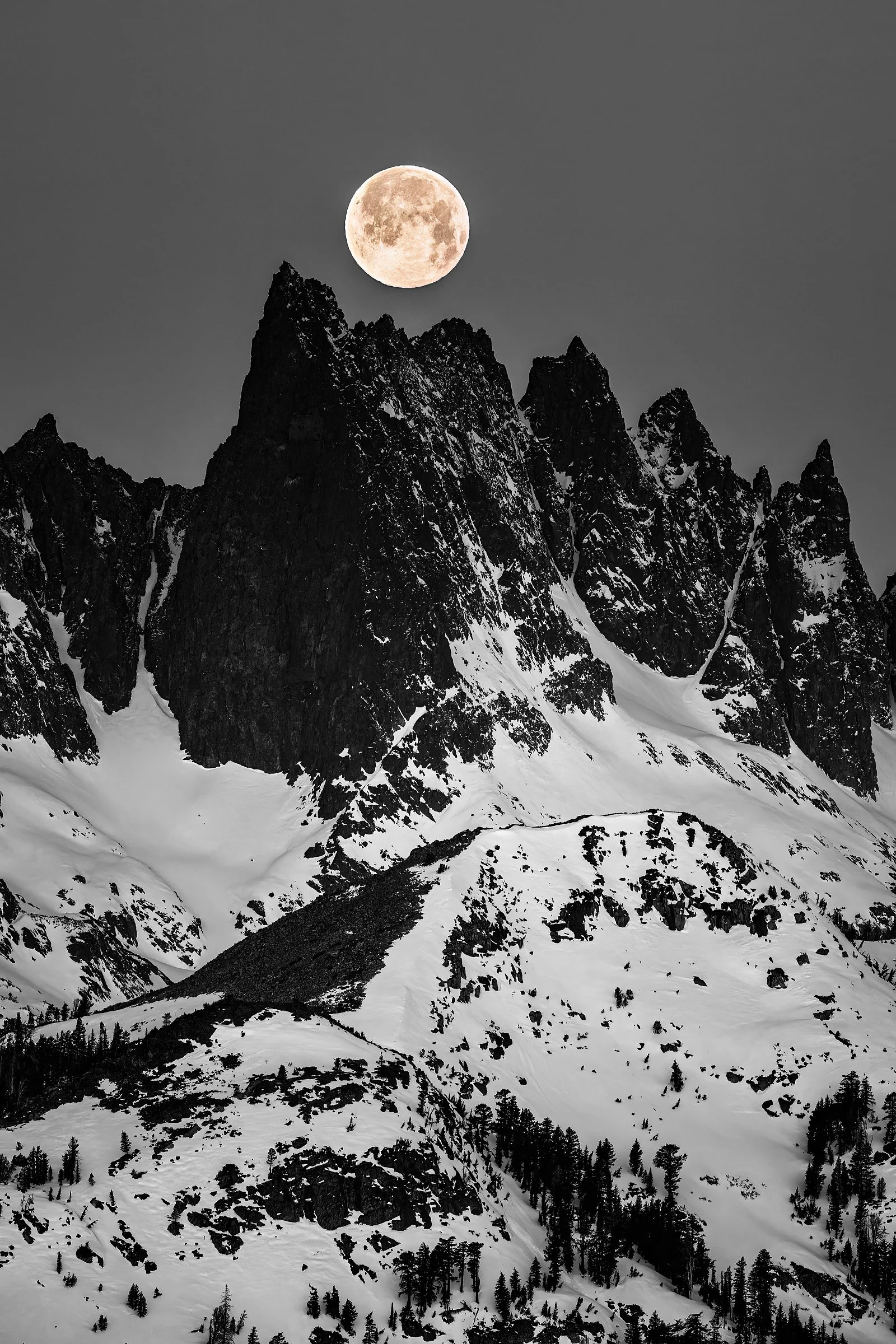 MINARET NOIR