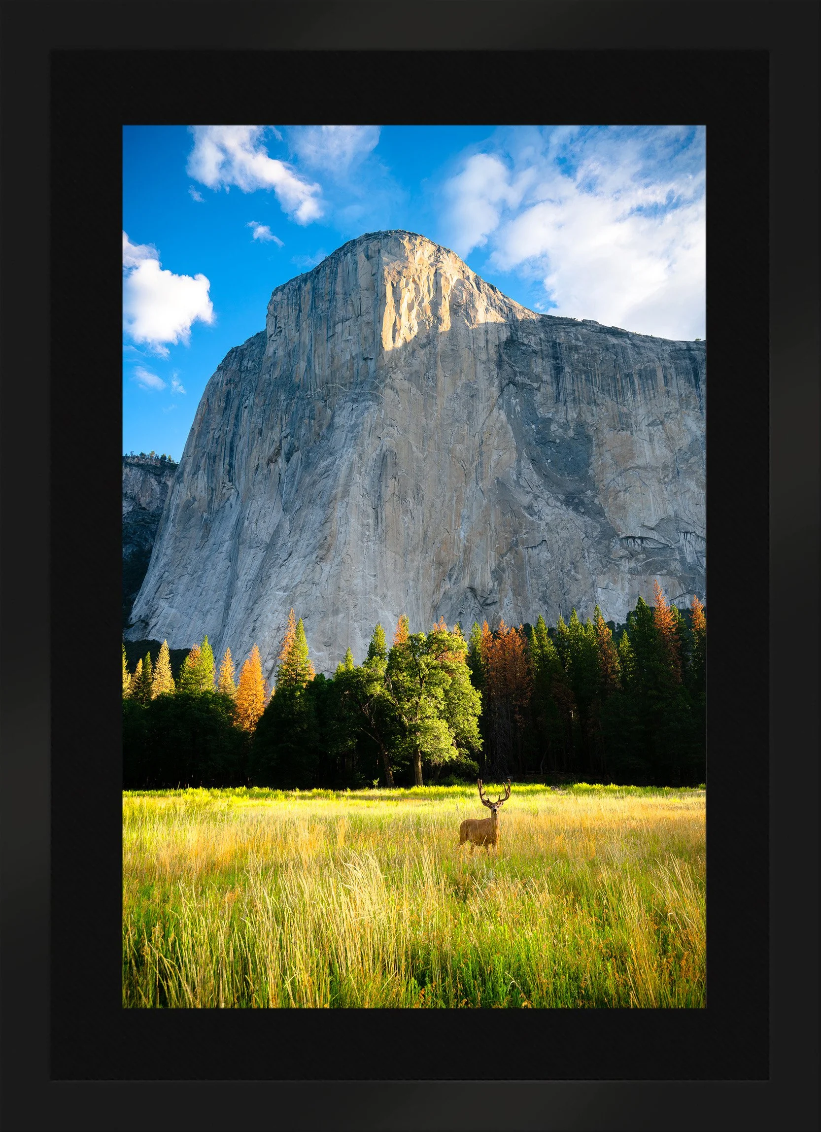 DeBock-El-Cap-Meadow-Framed-Obsidian-Blk-Liner.jpg