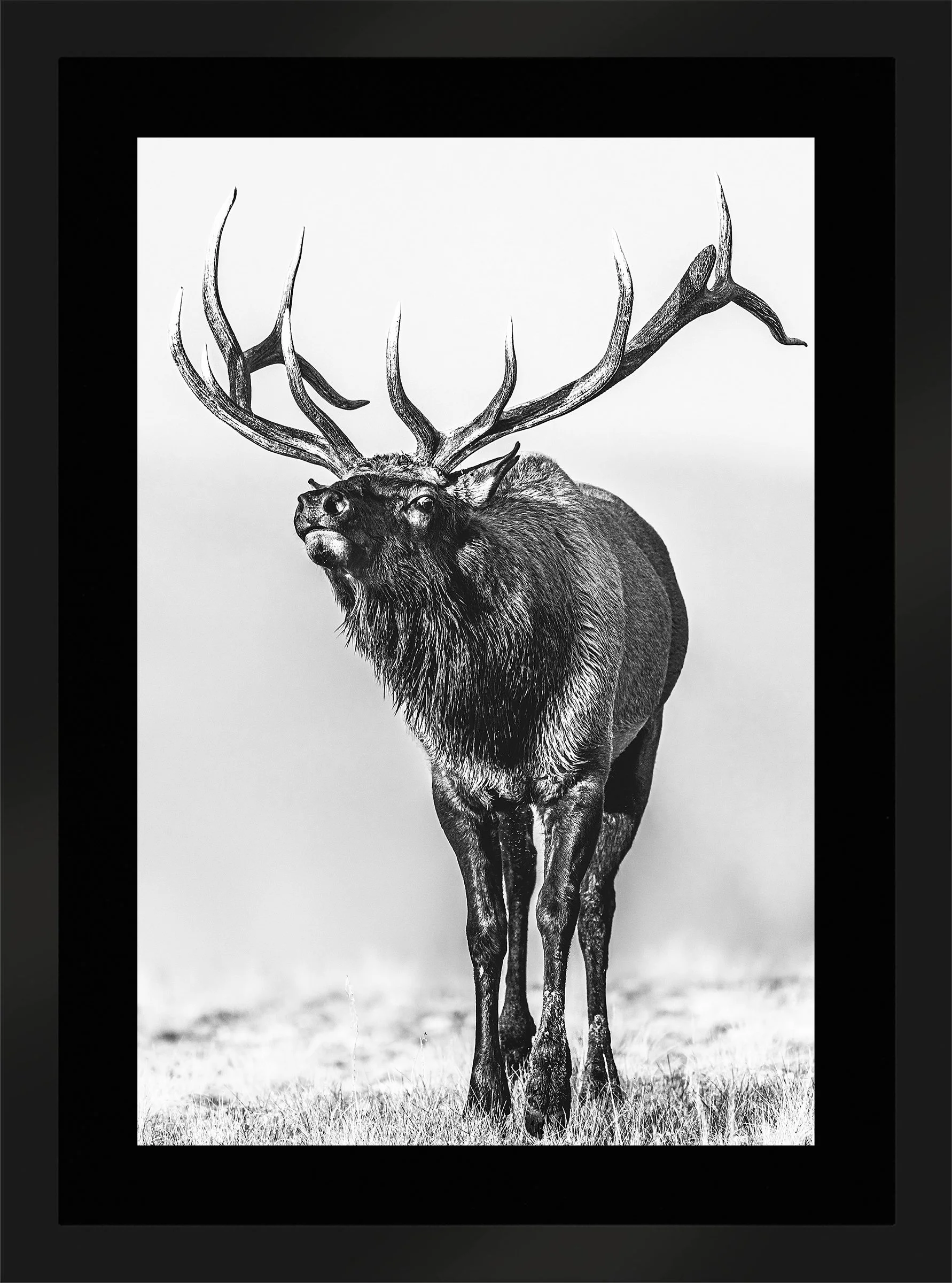 Blake-DeBock-Call-Of-The-Wild_web-Framed-Matte-Black-Blk-Liner_web.jpg