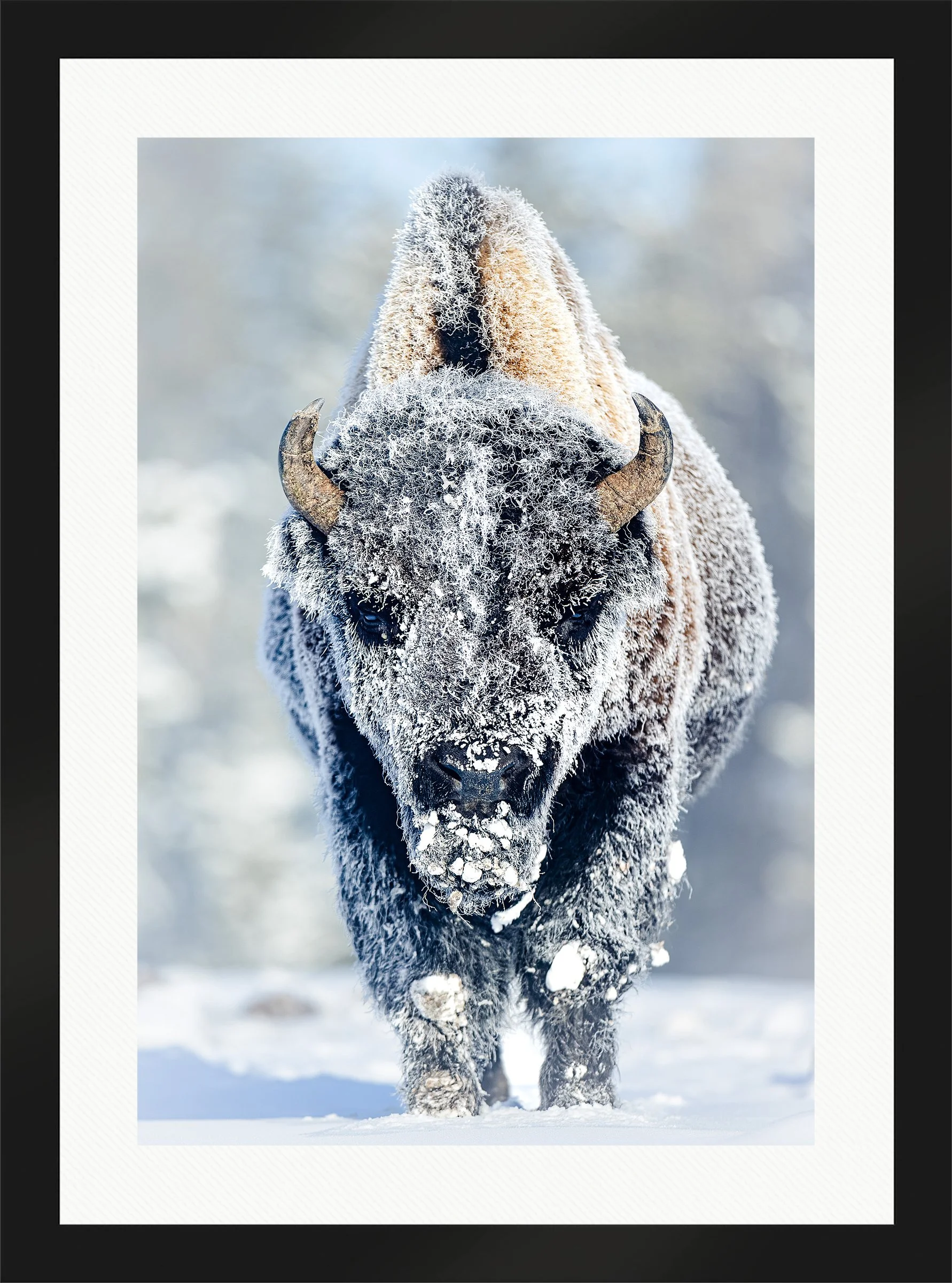 Blake-DeBock-Revenant_web-Framed-Matte-Black-Wht-Liner_web.jpg