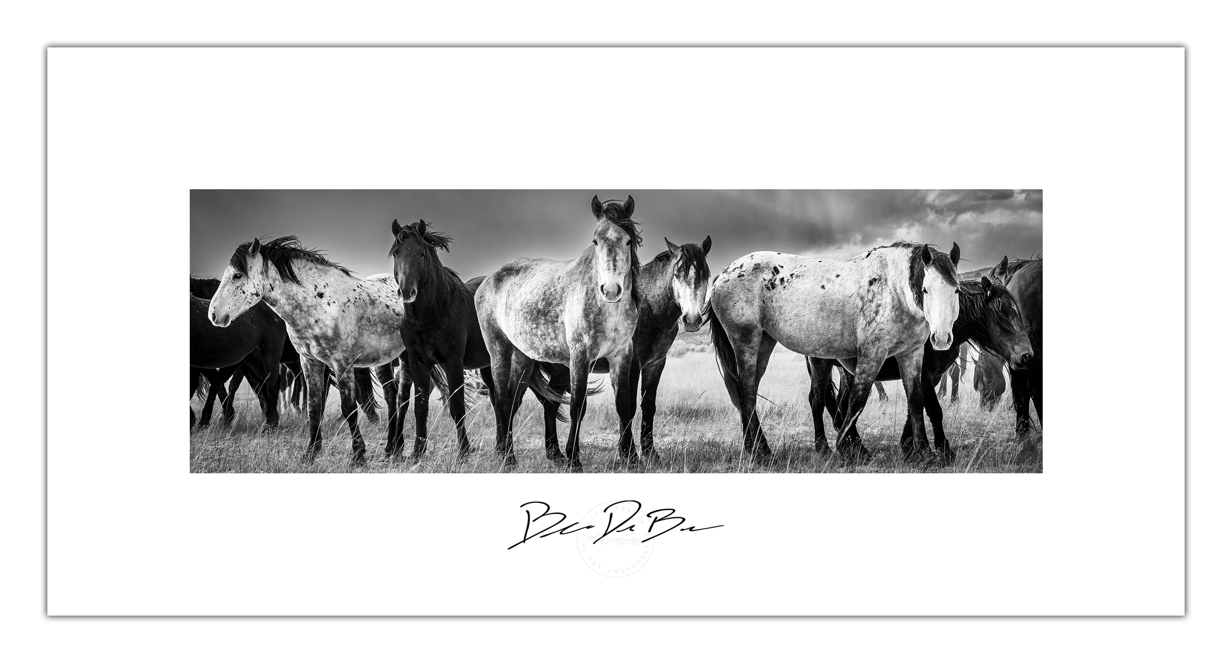 Poster-Wild-Horses-24x12-Unframed.png