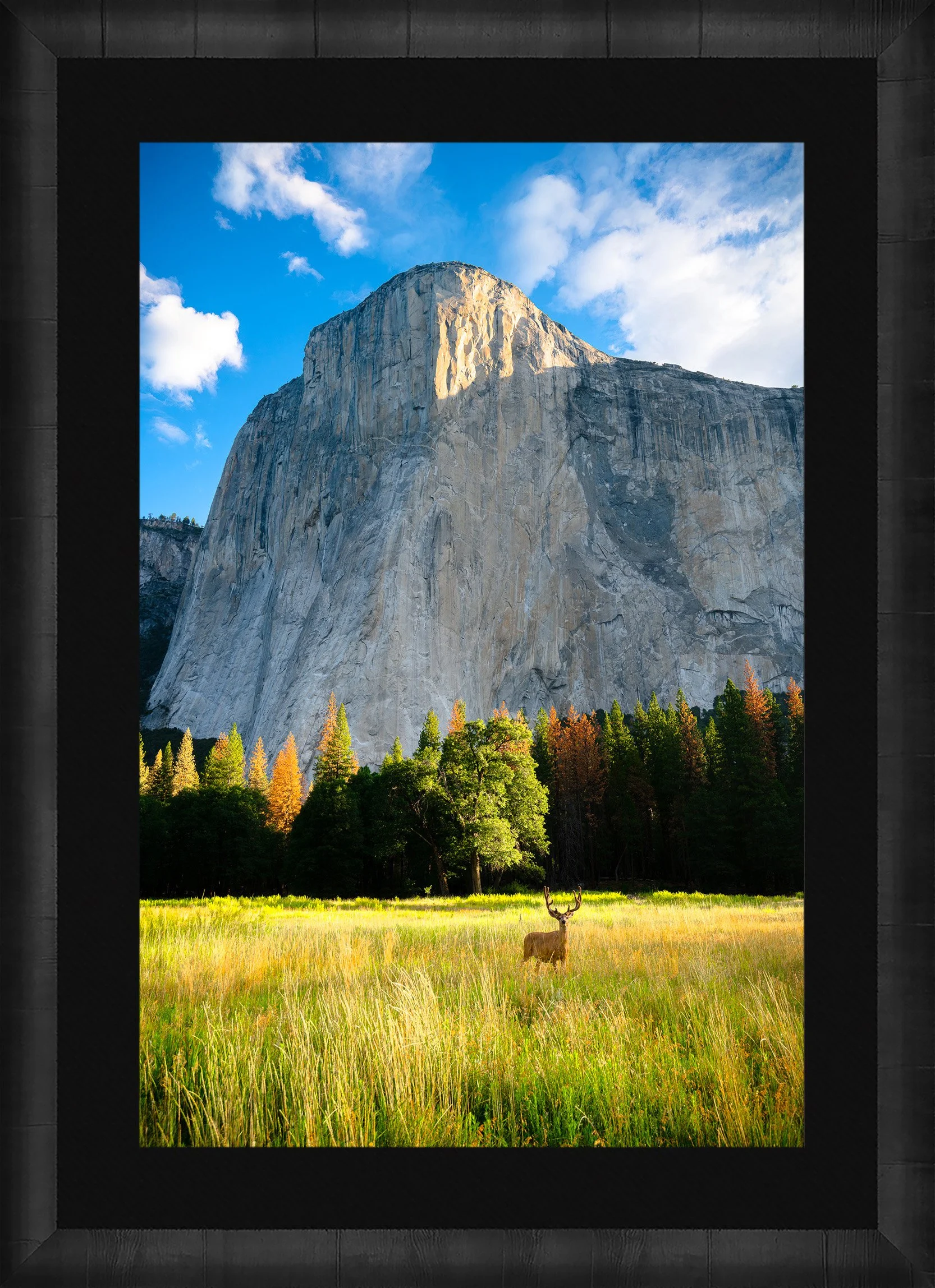 DeBock-El-Cap-Meadow-Framed-Dark-Ash-Blk-Liner.jpg