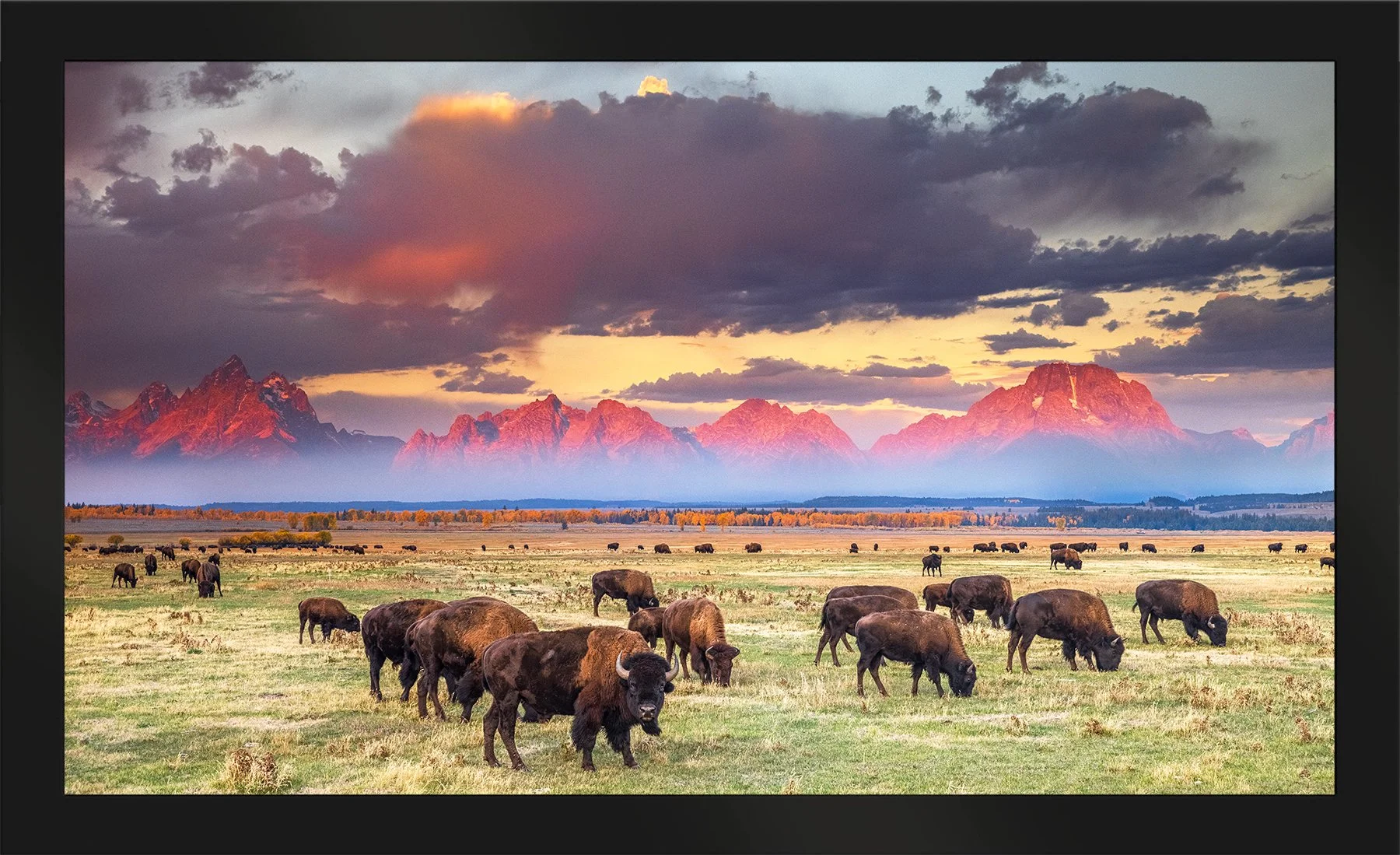 DeBock-Ancient-Land-Framed-Matte-Black-1800x.jpg