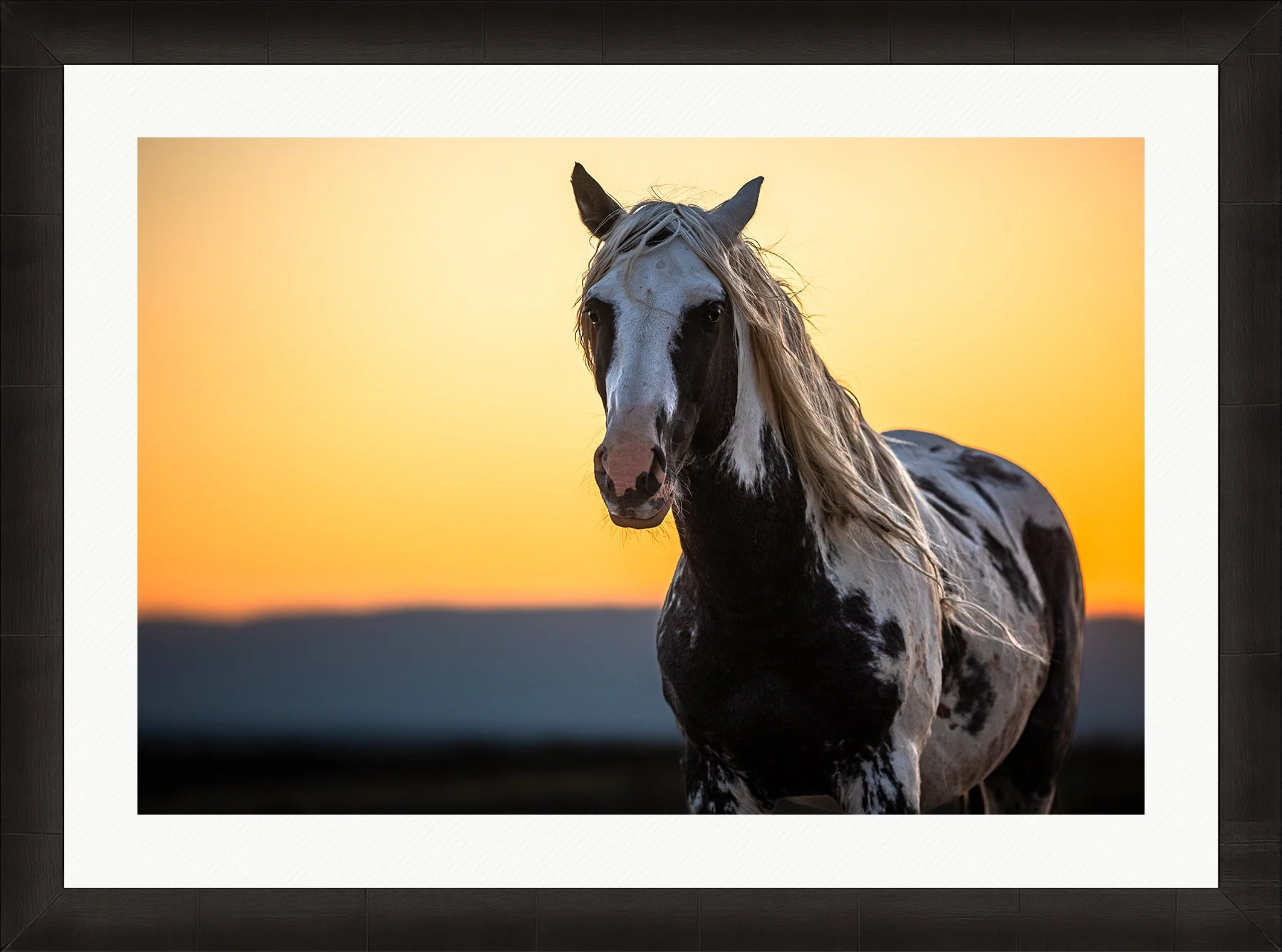 DeBock-The-Stallion-Framed-Dark-Ash-Wht-Liner-1800x.jpg