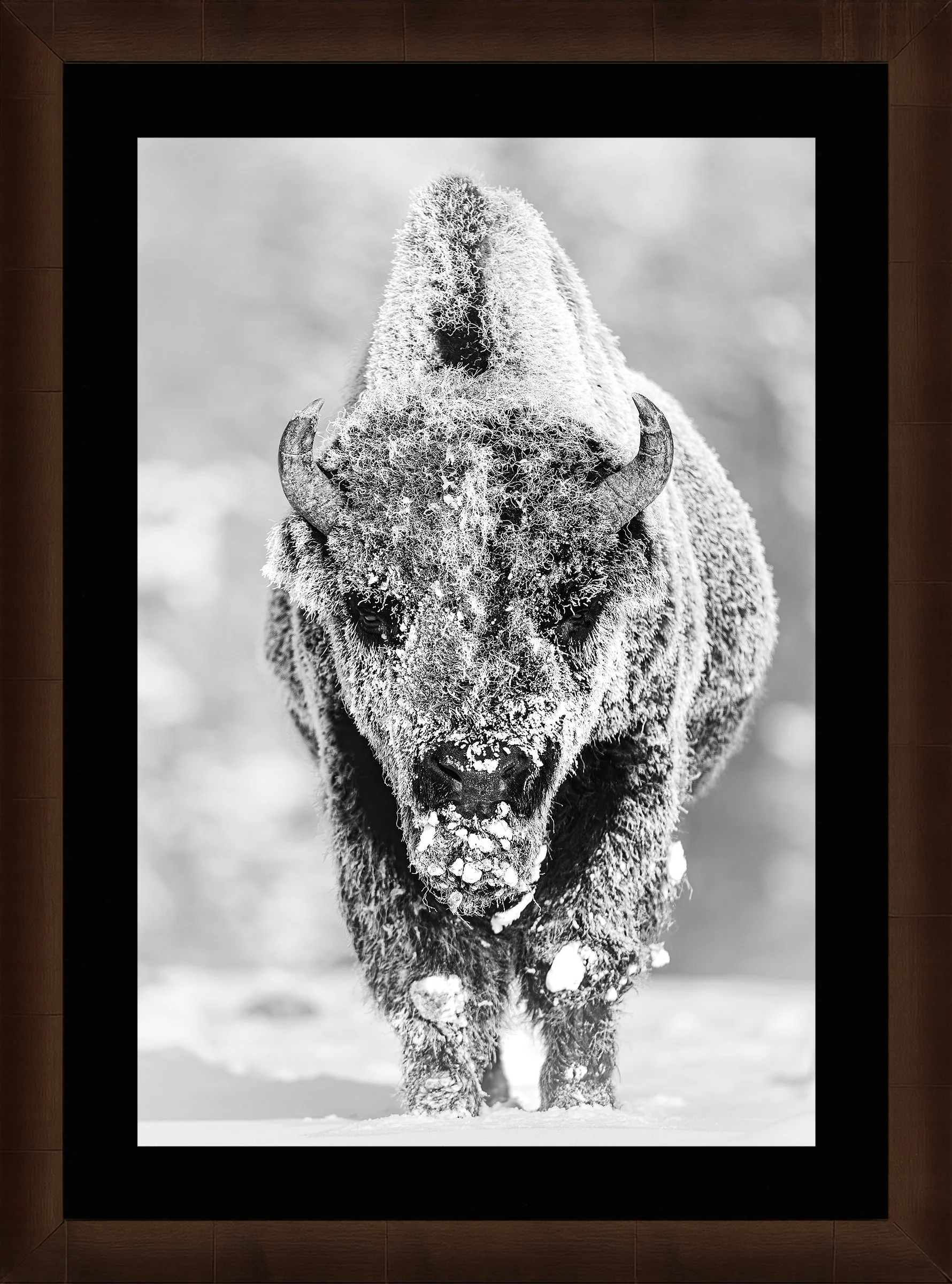 Blake-DeBock-28-Below_web-Framed-Sequoia-Leaf-Blk-Liner_web.jpg