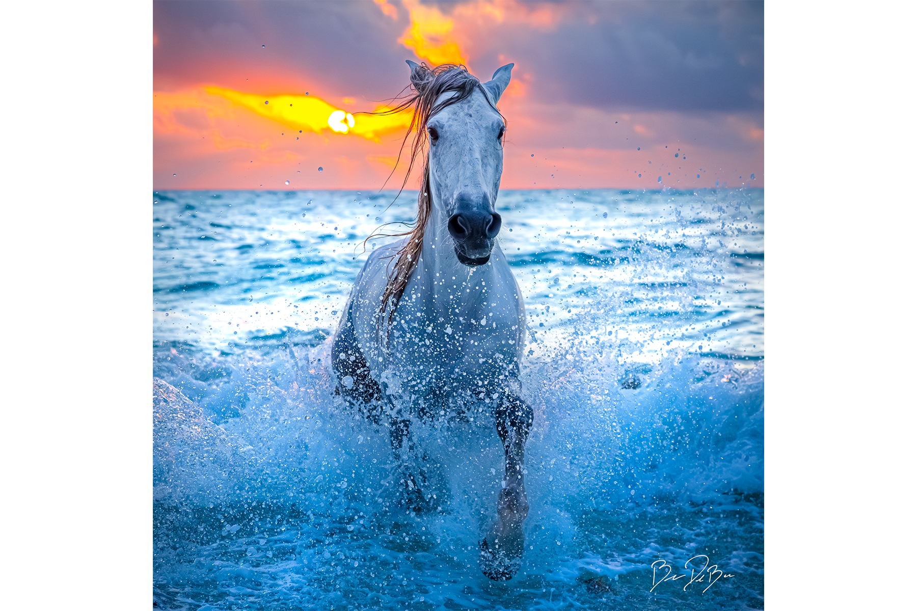 DeBock-White-Stallion-12x12-1800X.png