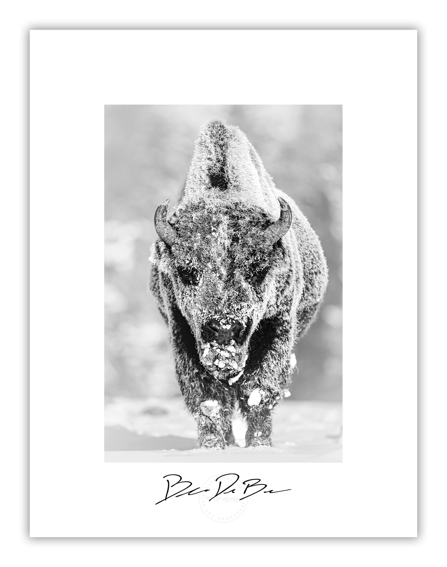 Poster-28-Below-17x13V.png