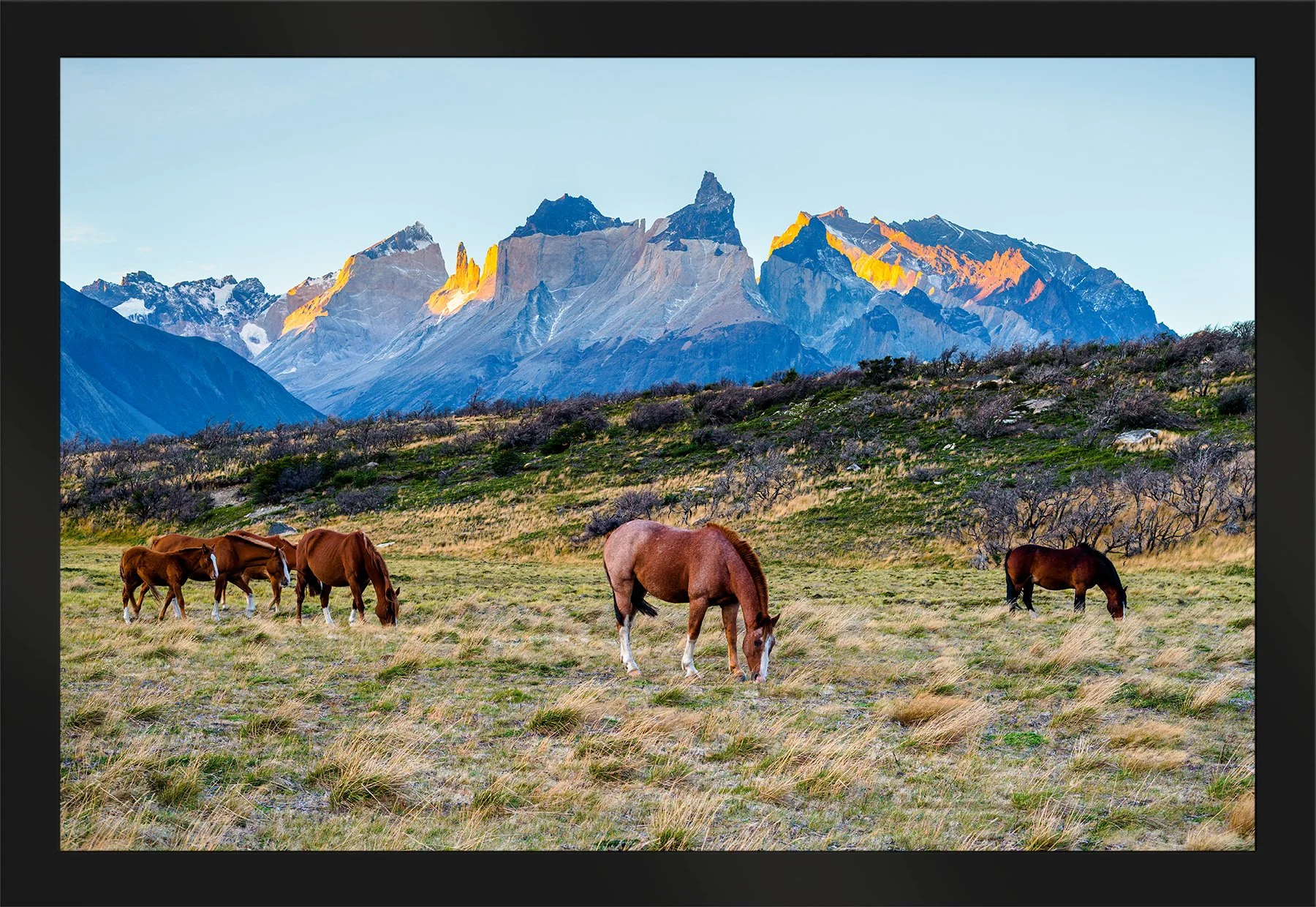 DeBock-Patagonian Horses-Framed-Matte-Black-1800x.jpg