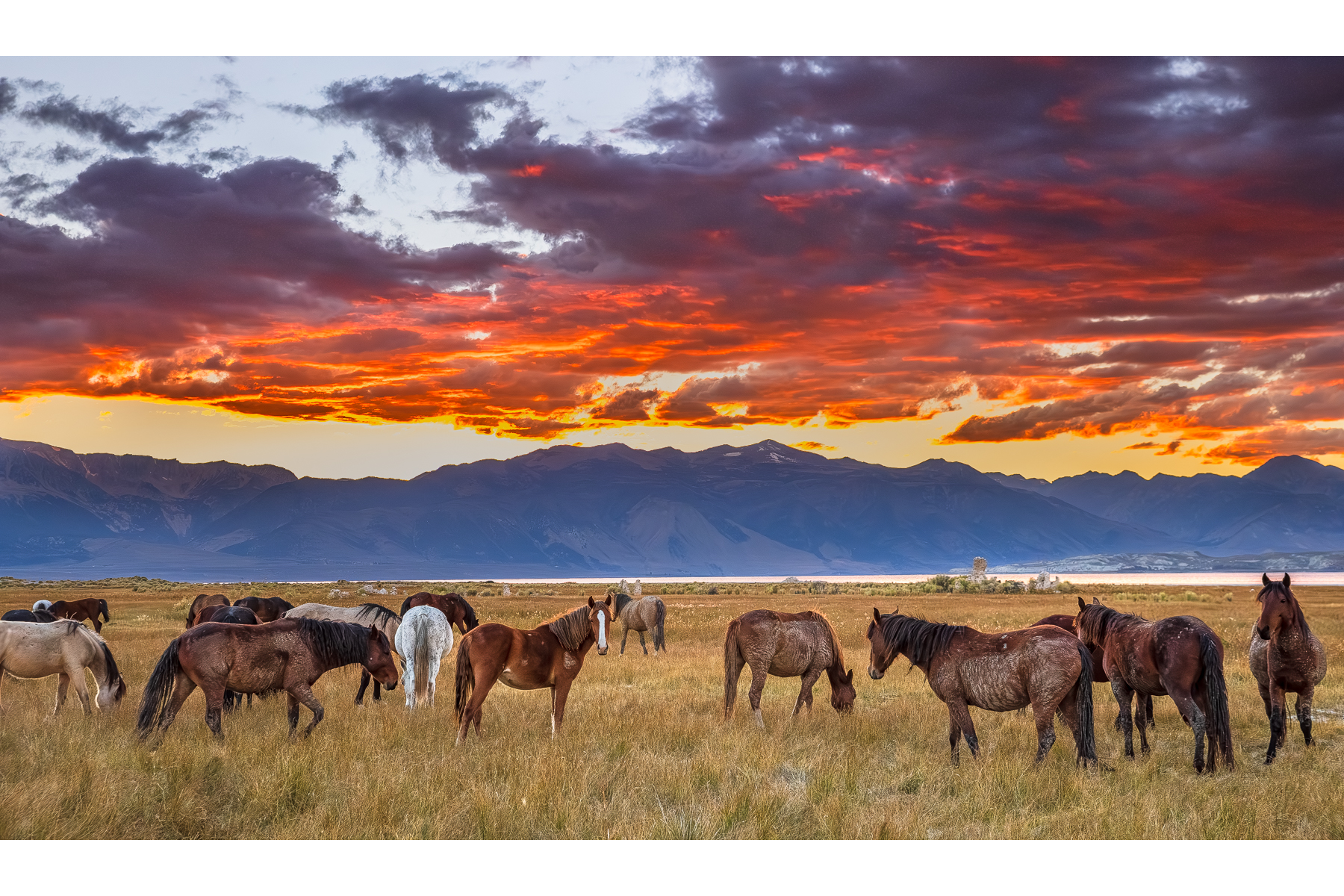 AS DAY ENDS AT MONO LAKE
