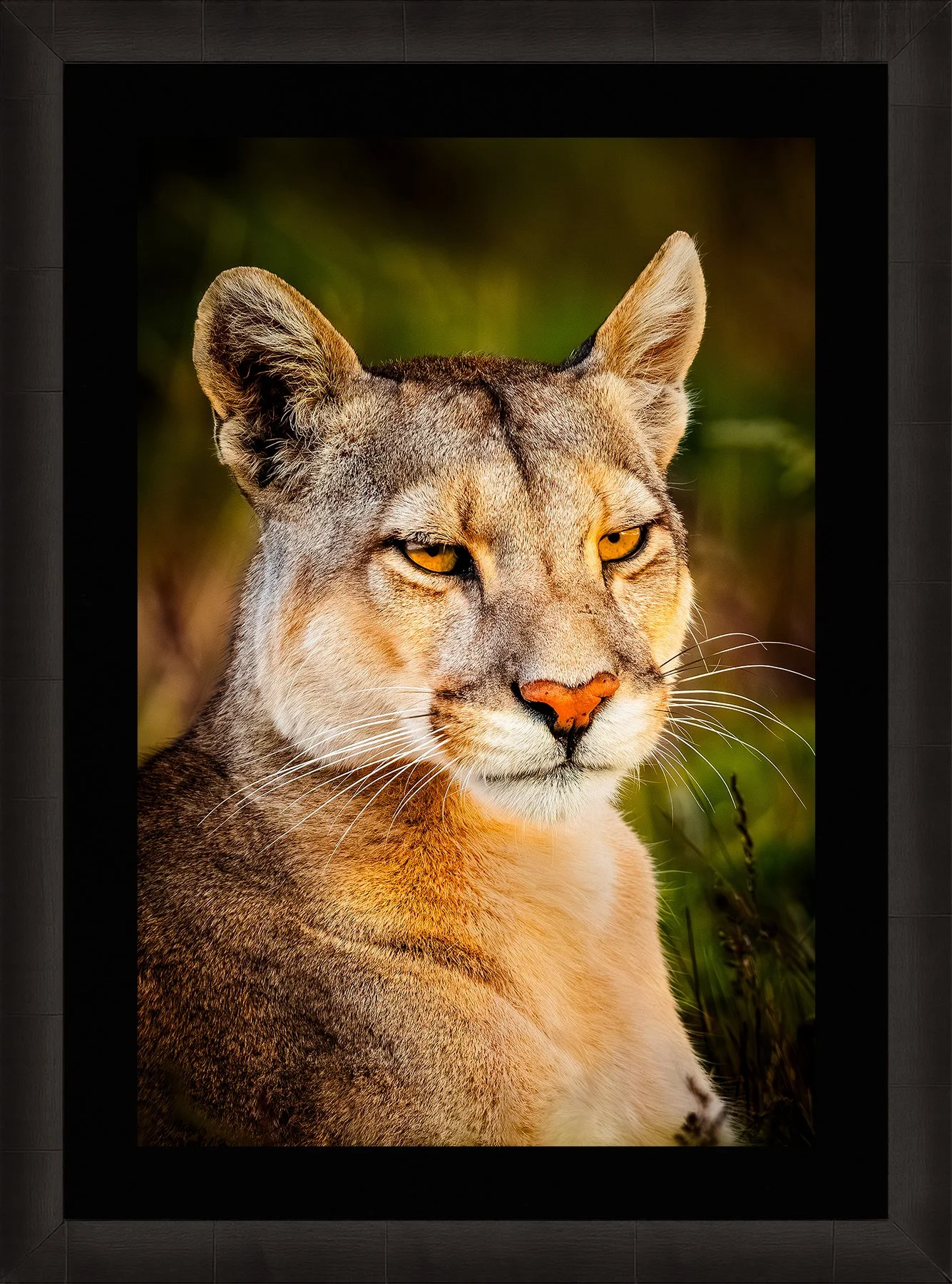 Blake-DeBock-Wild-Beauty-Framed-Summit-Ash-Blk-Liner_web.jpg