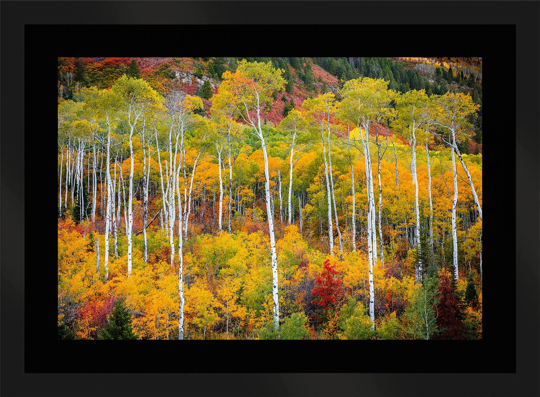Blake-DeBock-Colorful-Colorado_web-Framed-Matte-Black-Blk-Liner_web.jpg