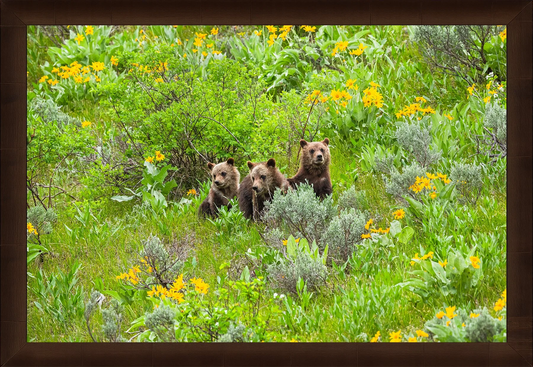 DeBock-Together-In-The-Wildflowers-Framed-Cigar-Leaf-1800x.jpg