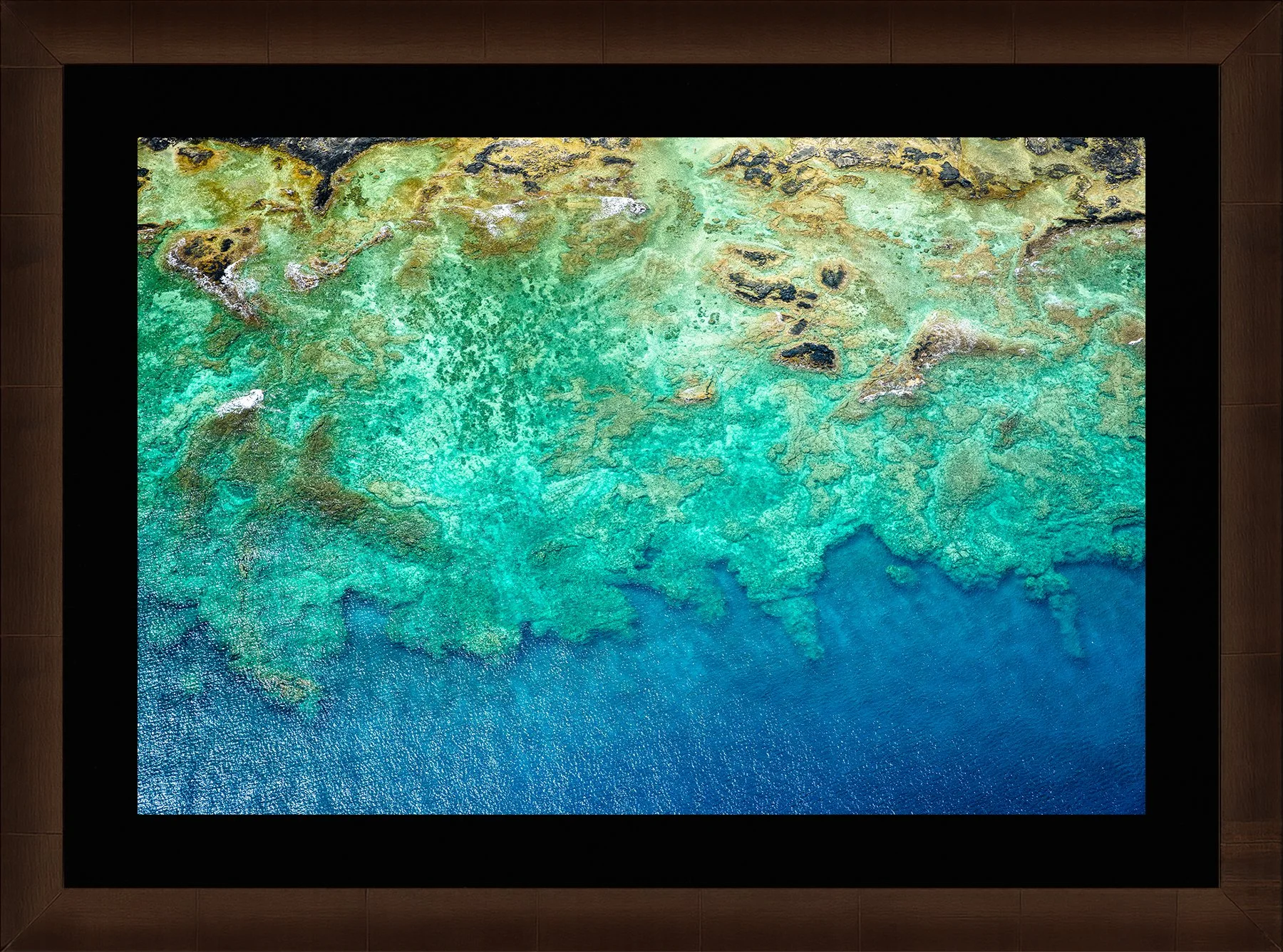 DeBock-Hawaiian-Reef-Framed-Cigar-Leaf-Blk-Liner-1800x.jpg